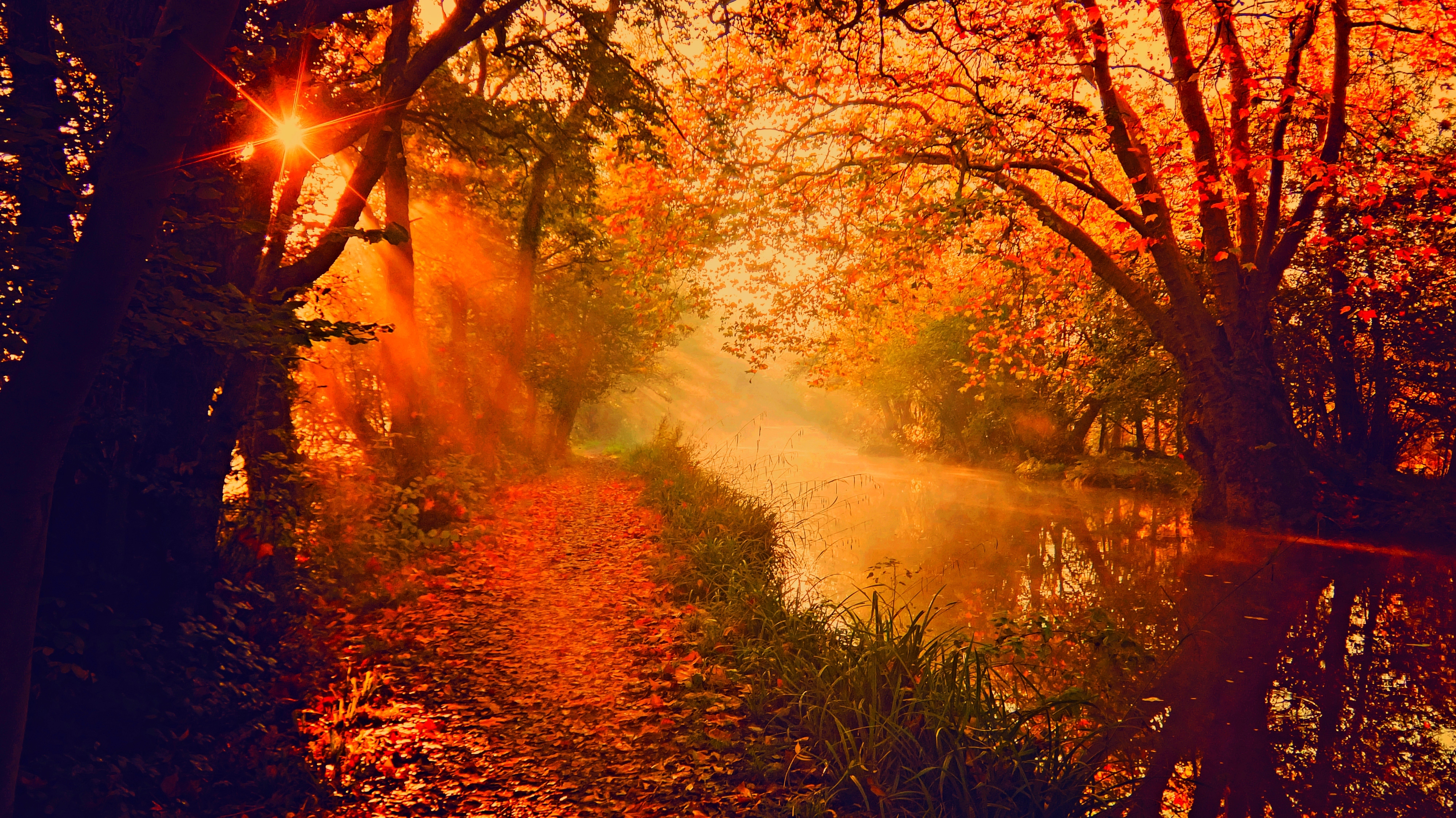 Осенний закат в лесу