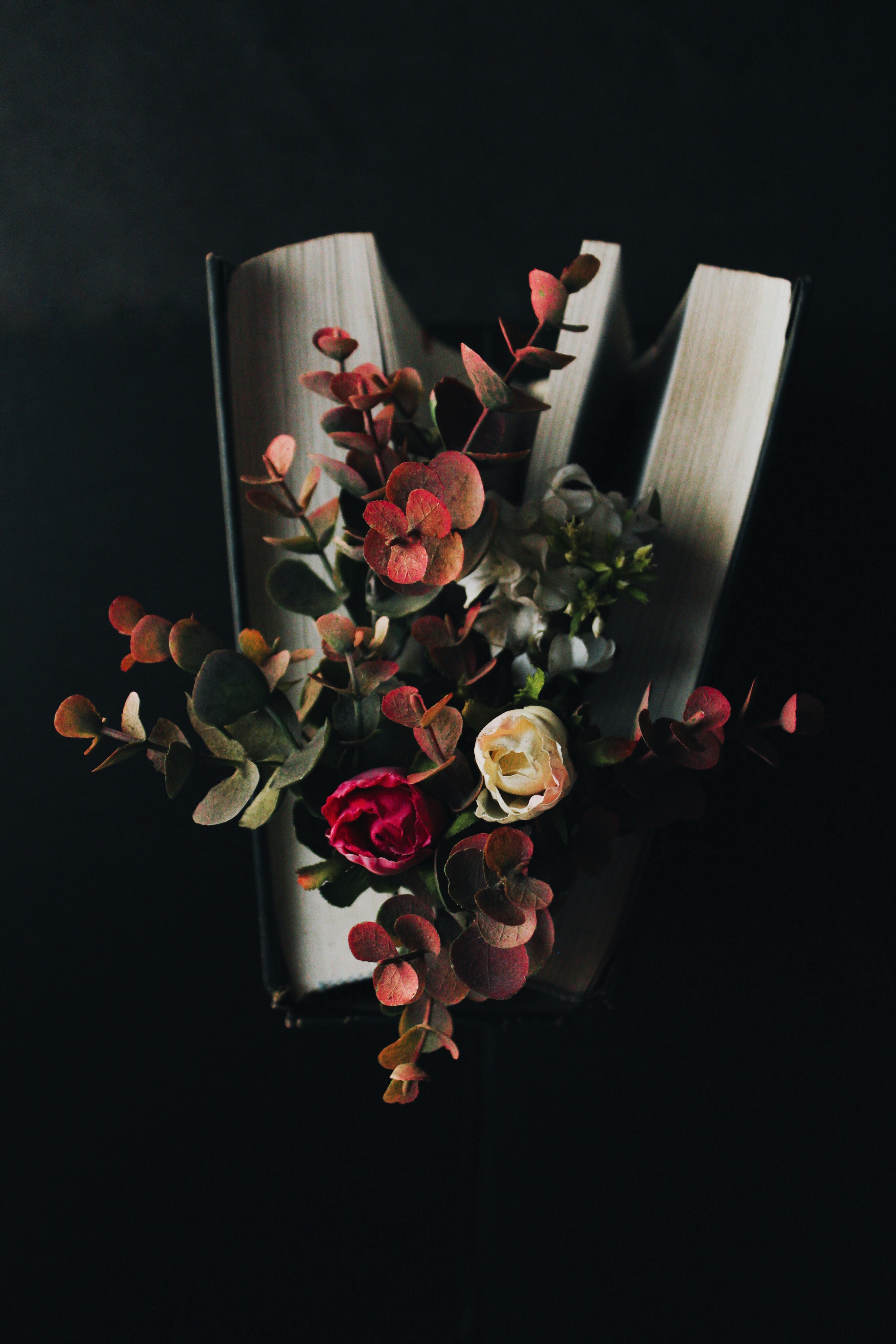 miscellanea, dark, flowers, miscellaneous, bouquet, book, eucalyptus Aesthetic wallpaper