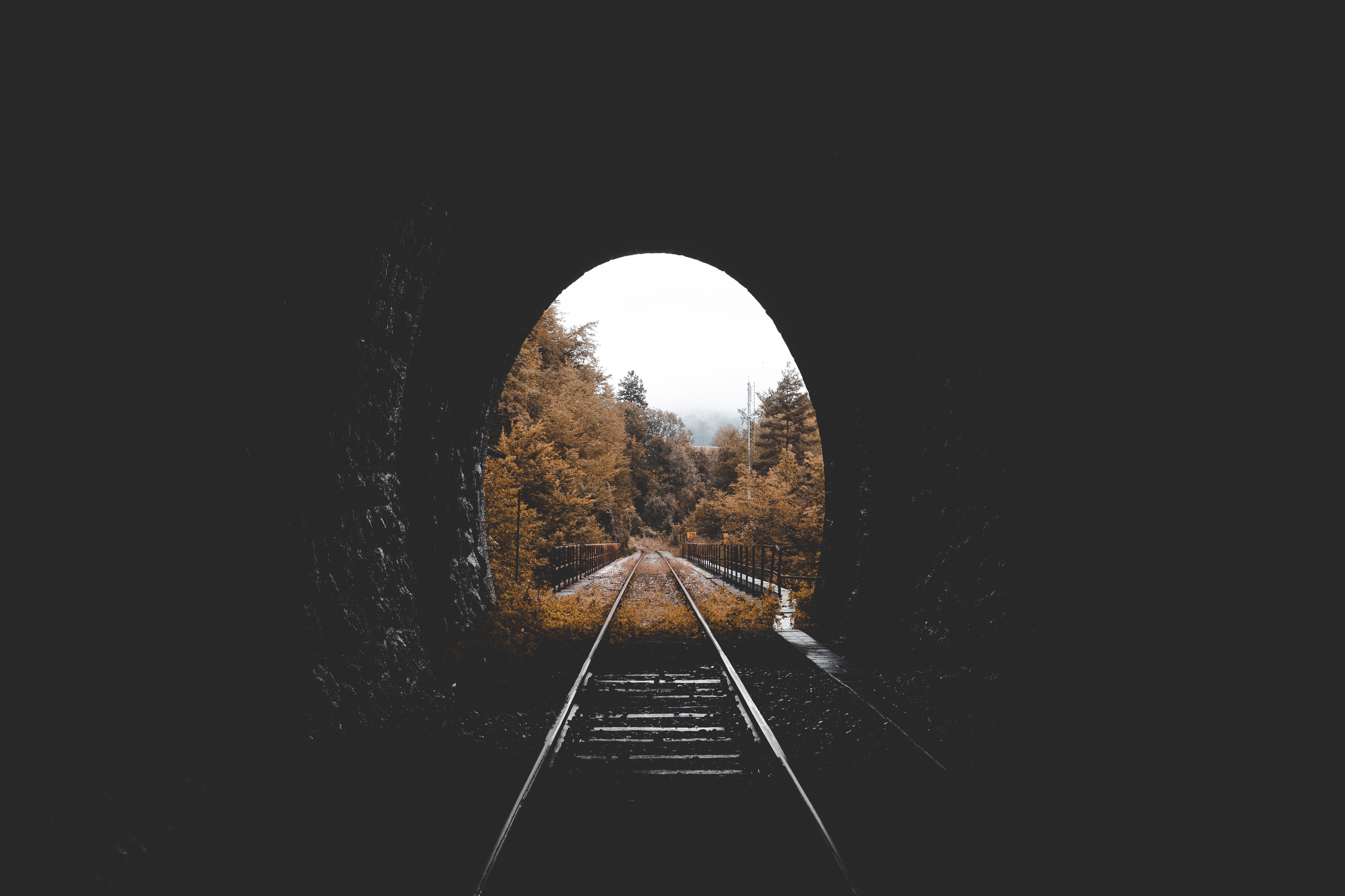 railway, nature, autumn, tunnel HD wallpaper