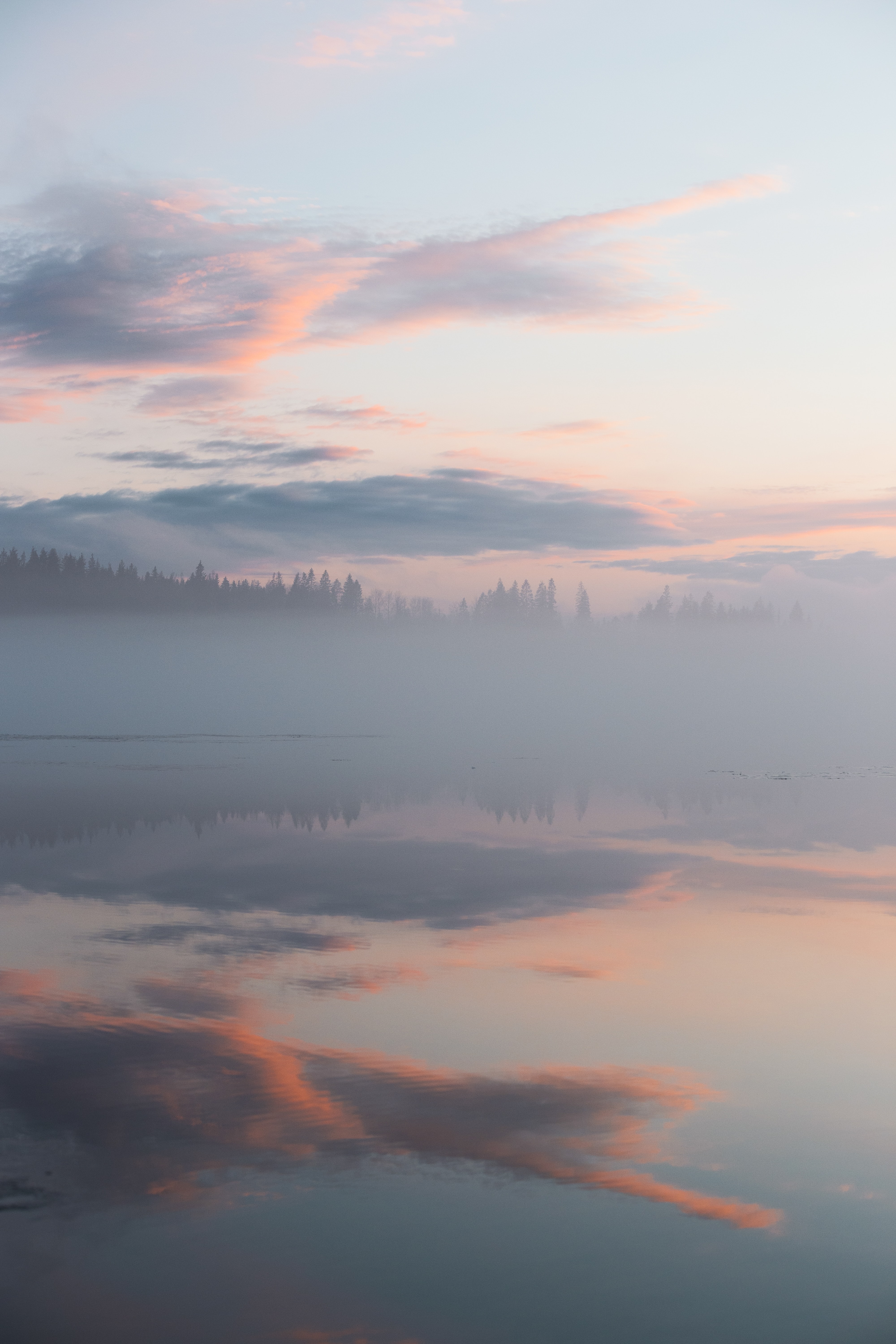 clouds, fog, nature, trees, reflection High Definition image