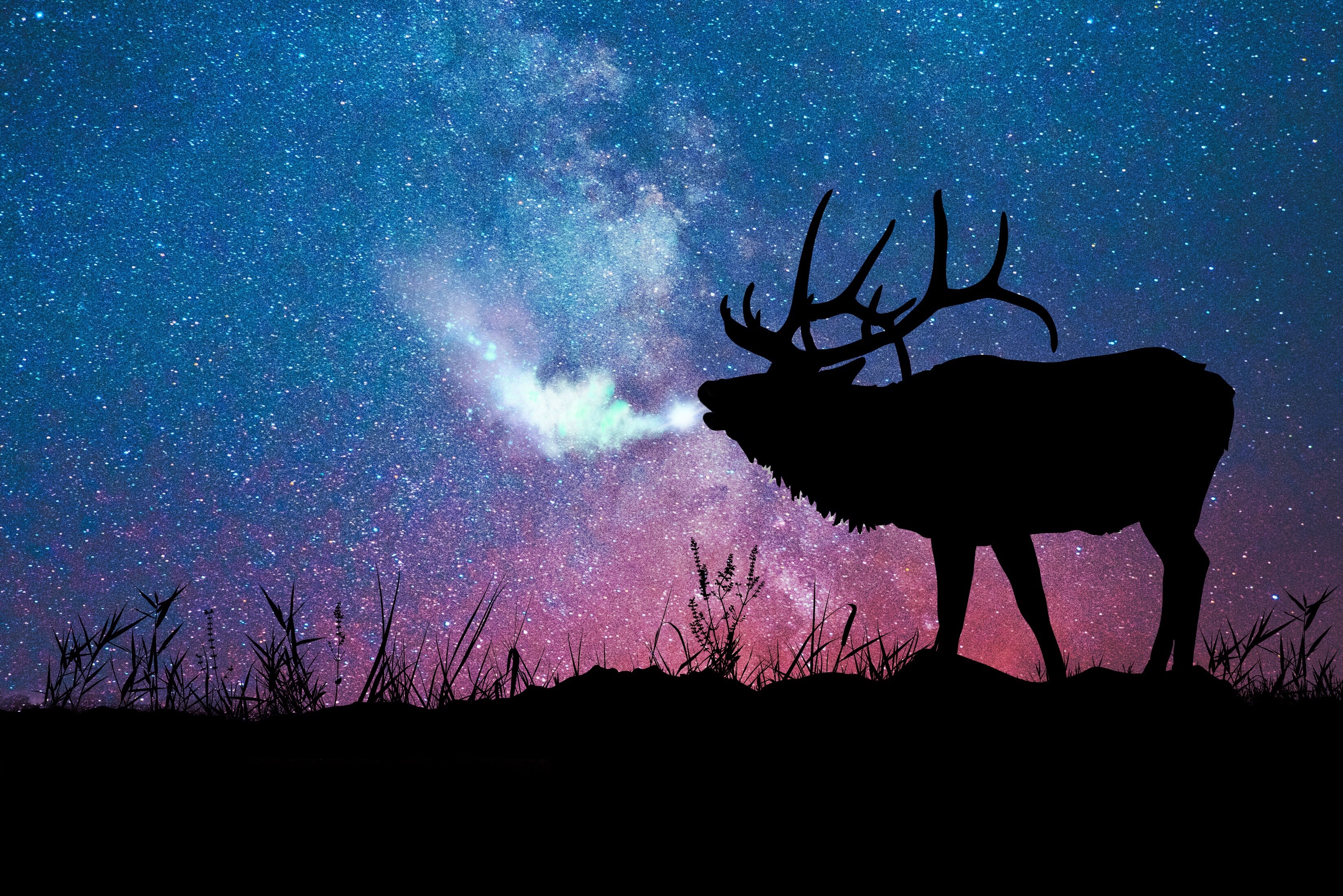 deer, stars, dark, silhouette, galaxy phone wallpaper