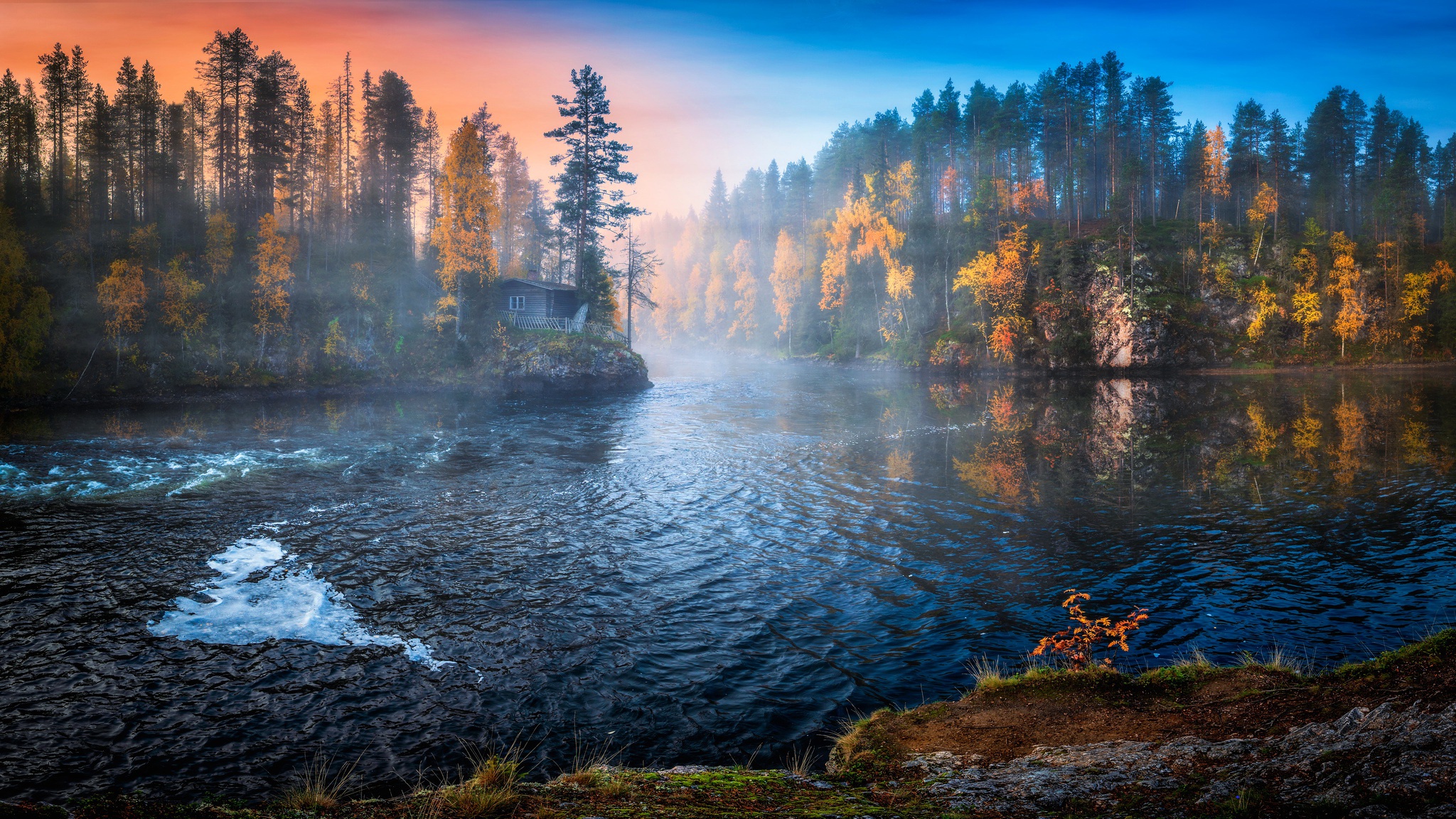 Озеро лес река туман