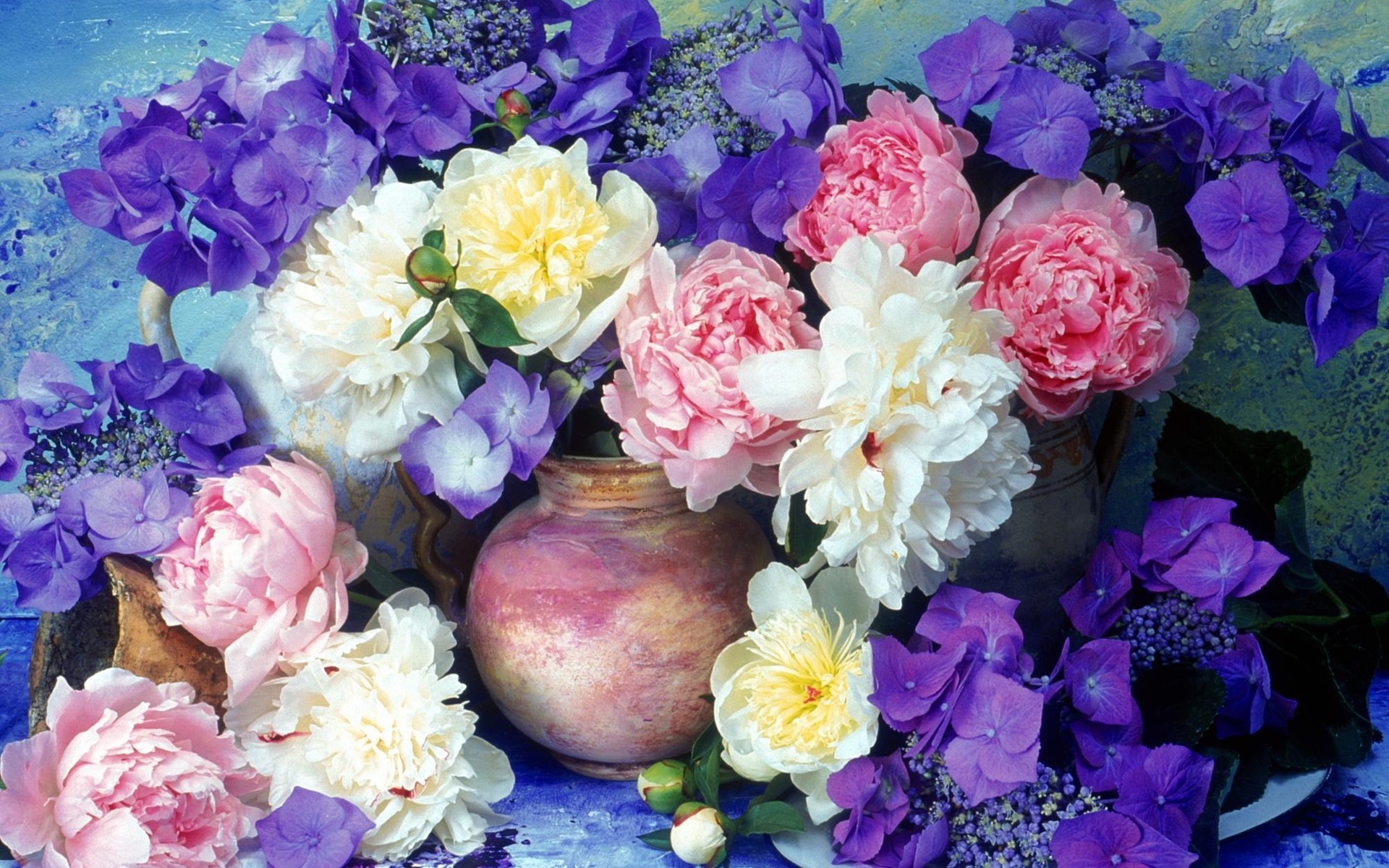 582204 baixar imagens fotografia, natureza morta, flor, peônia, flor rosa, flor roxa, vaso, flor branca - papéis de parede e protetores de tela gratuitamente