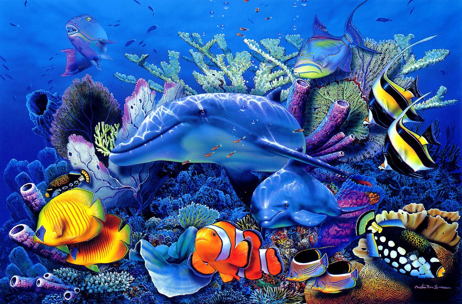 21874 télécharger le fond d'écran mer, bleu, dauphins, poissons, animaux - économiseurs d'écran et images gratuitement