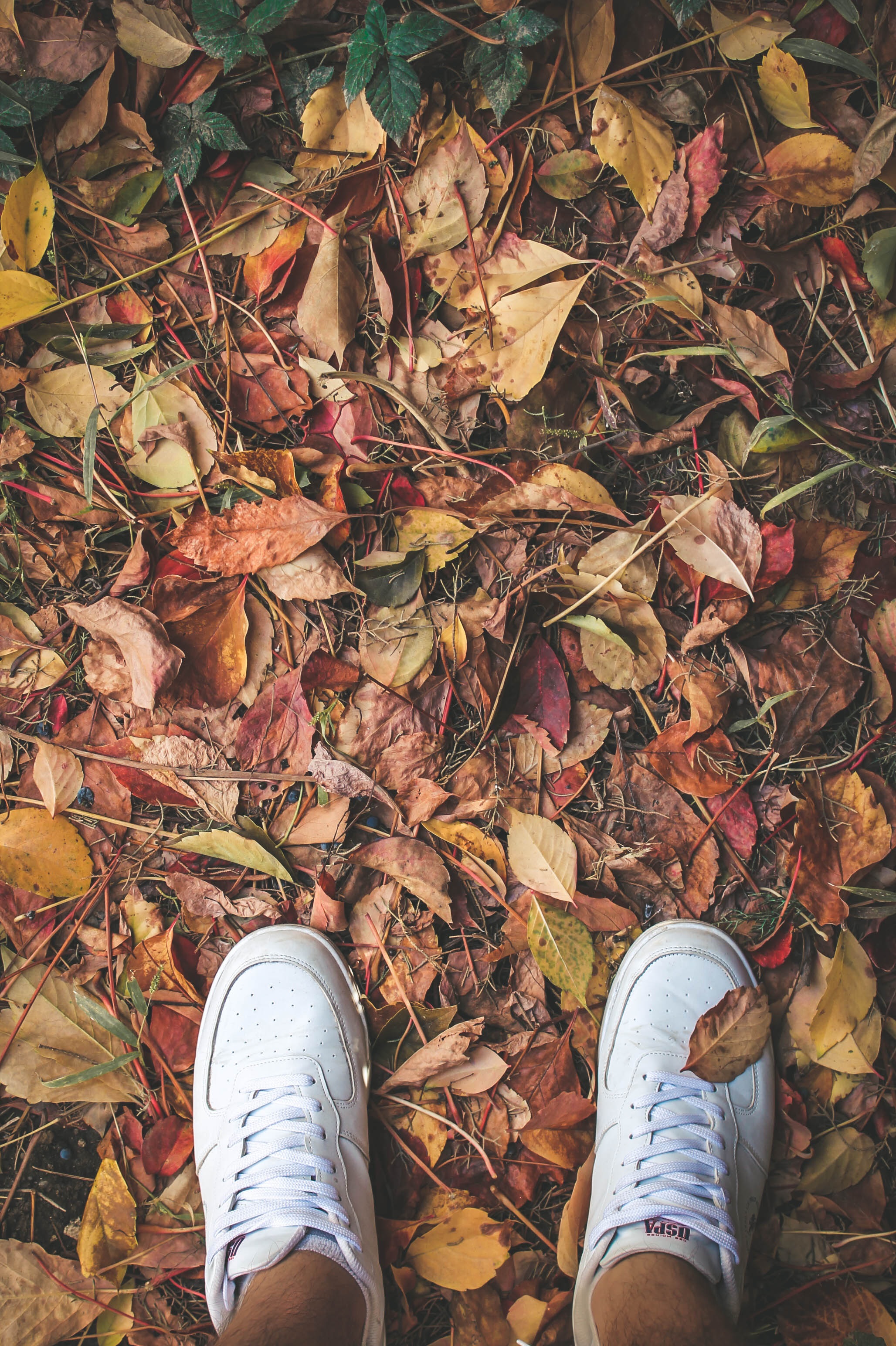 Download mobile wallpaper Foliage, Legs, Miscellanea, Miscellaneous, Sneakers, Autumn for free.