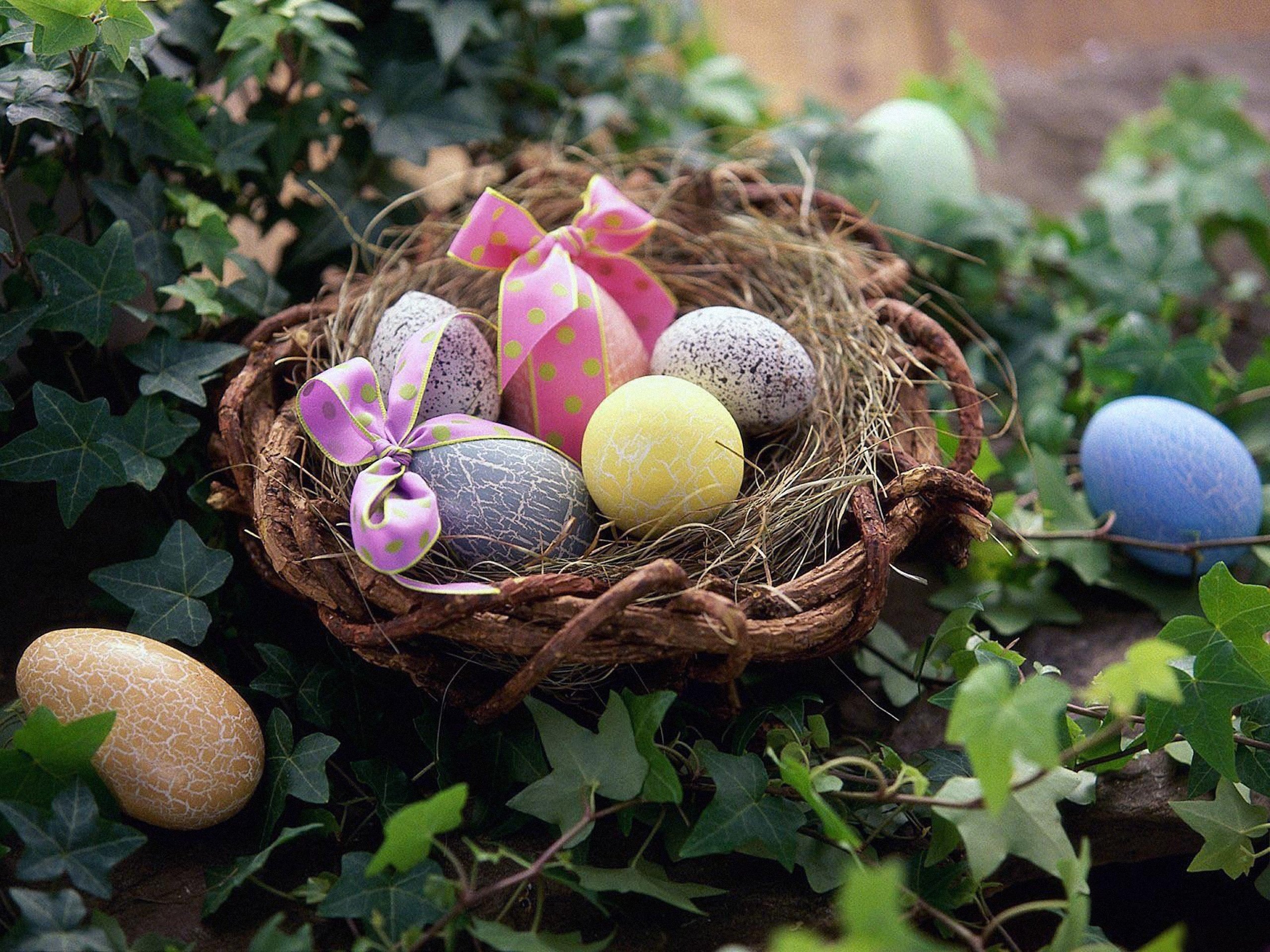 holiday, easter, basket, bow (clothing), egg, nest, vine Full HD