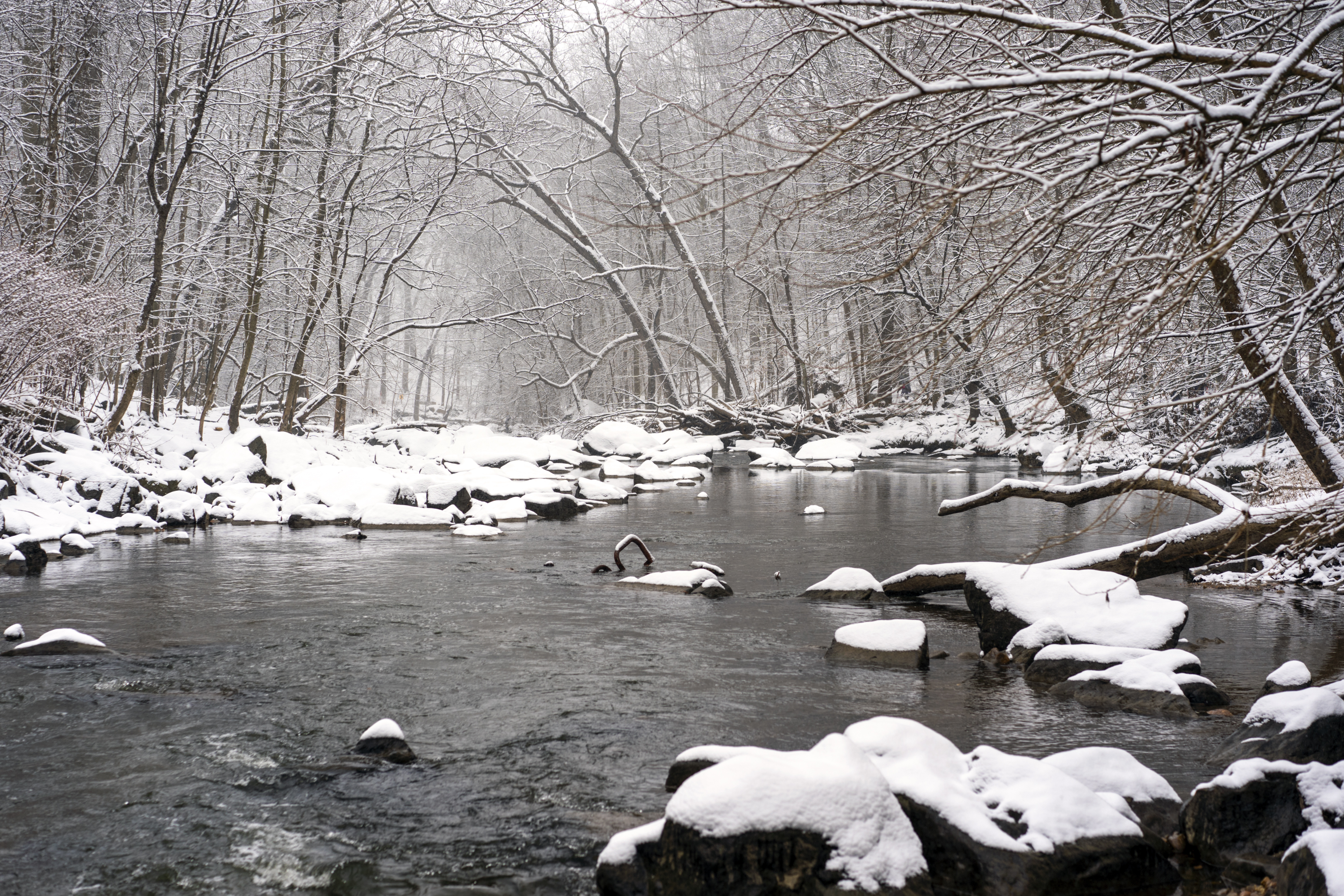 128614壁紙のダウンロード冬, 自然, 水, 川, ストーンズ, 雪, 森林, 森-スクリーンセーバーと写真を無料で