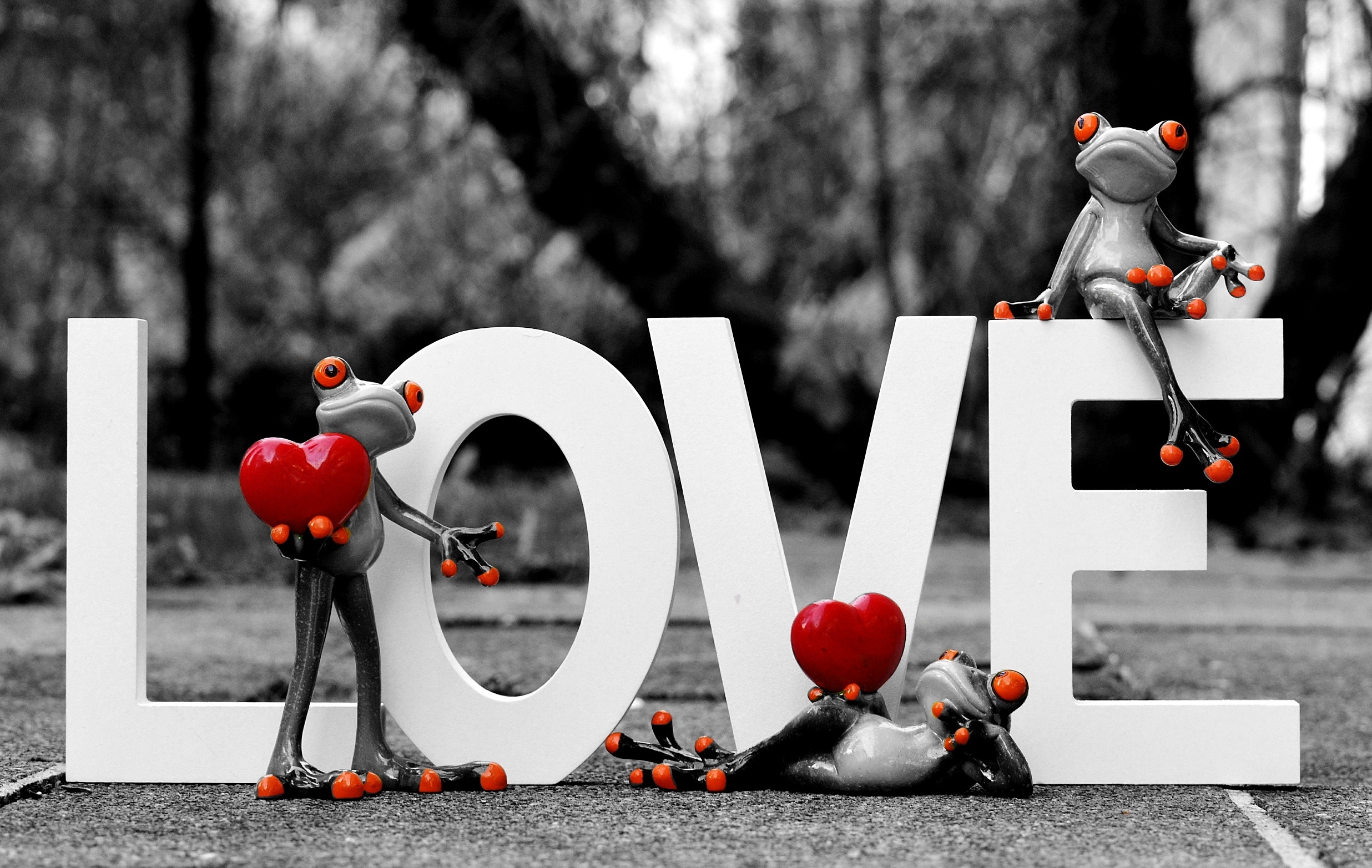 wallpapers love, photography, figurine, frog, selective color, valentine's day