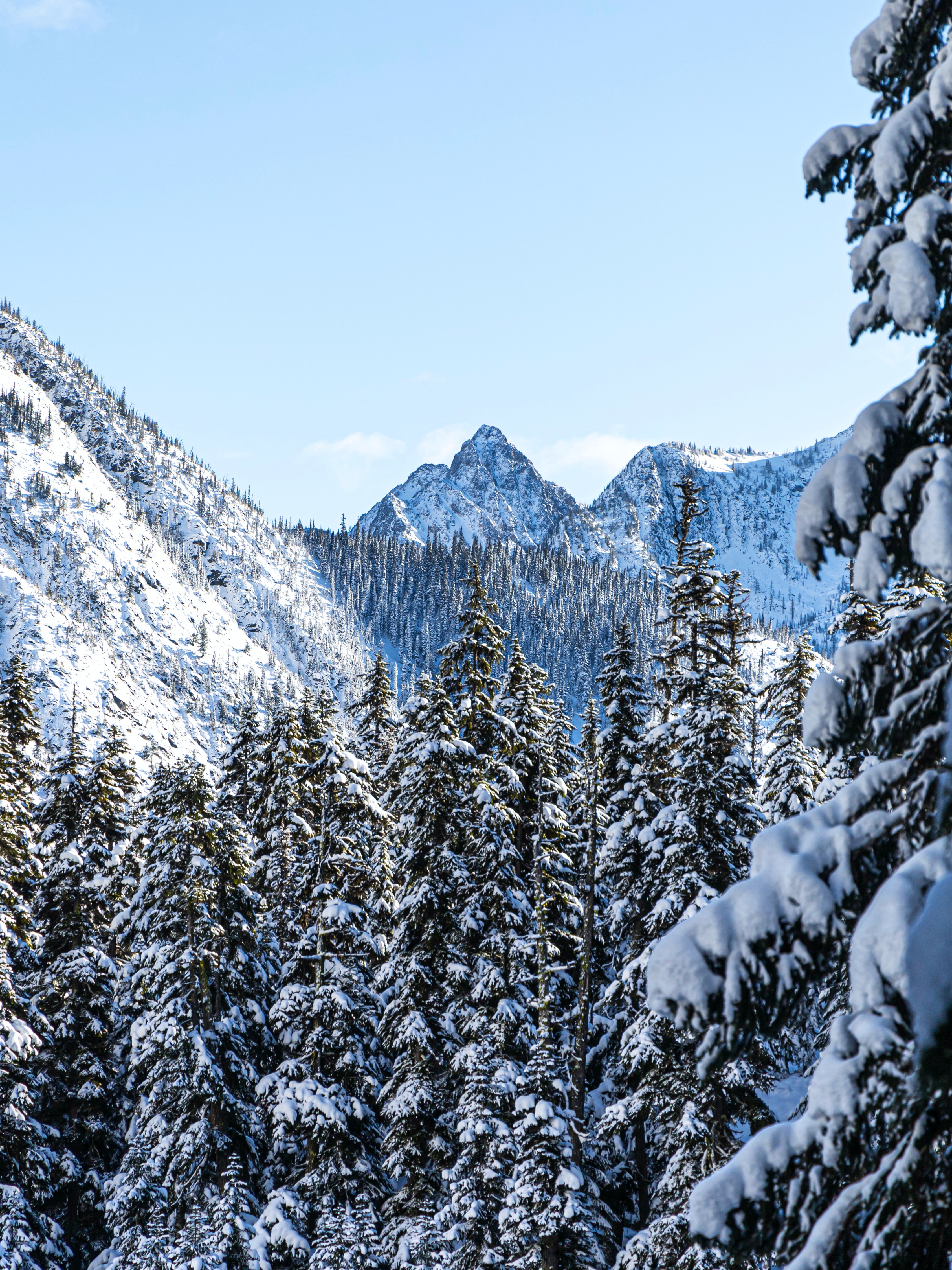157995壁紙のダウンロード冬, 自然, 木, 山脈, 松, 雪-スクリーンセーバーと写真を無料で