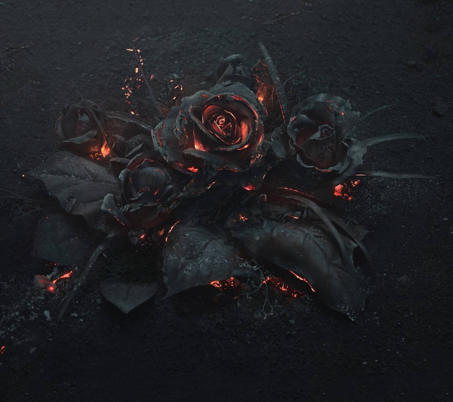 Черная роза арт