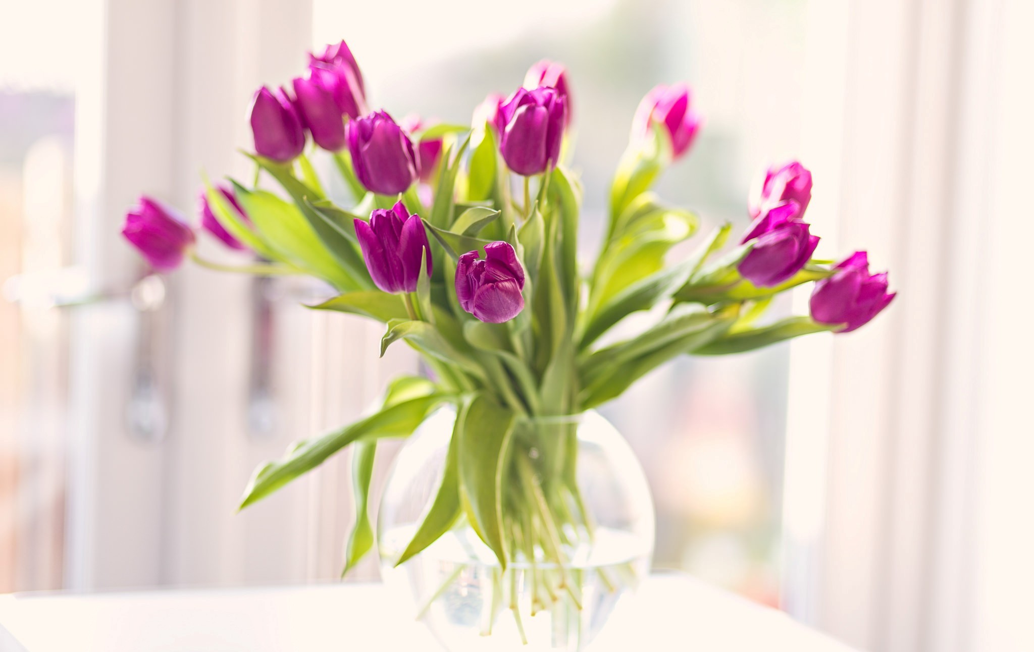 Весна тюльпаны в вазе