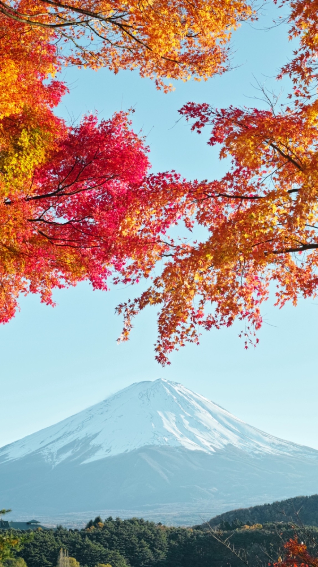 無料モバイル壁紙地球, 日本, 火山, 富士山, 藤山をダウンロードします。