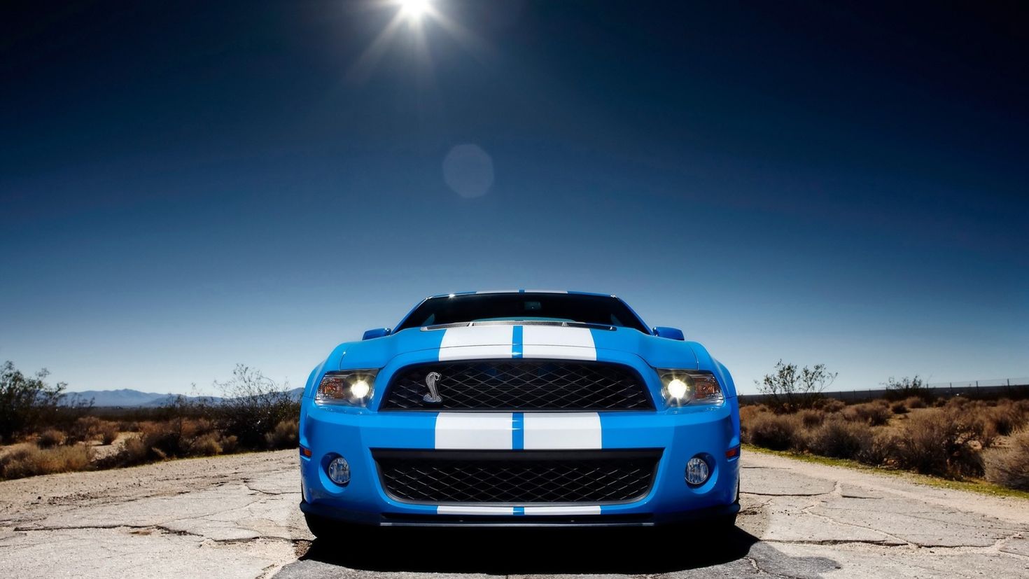 ford shelby gt500 2010