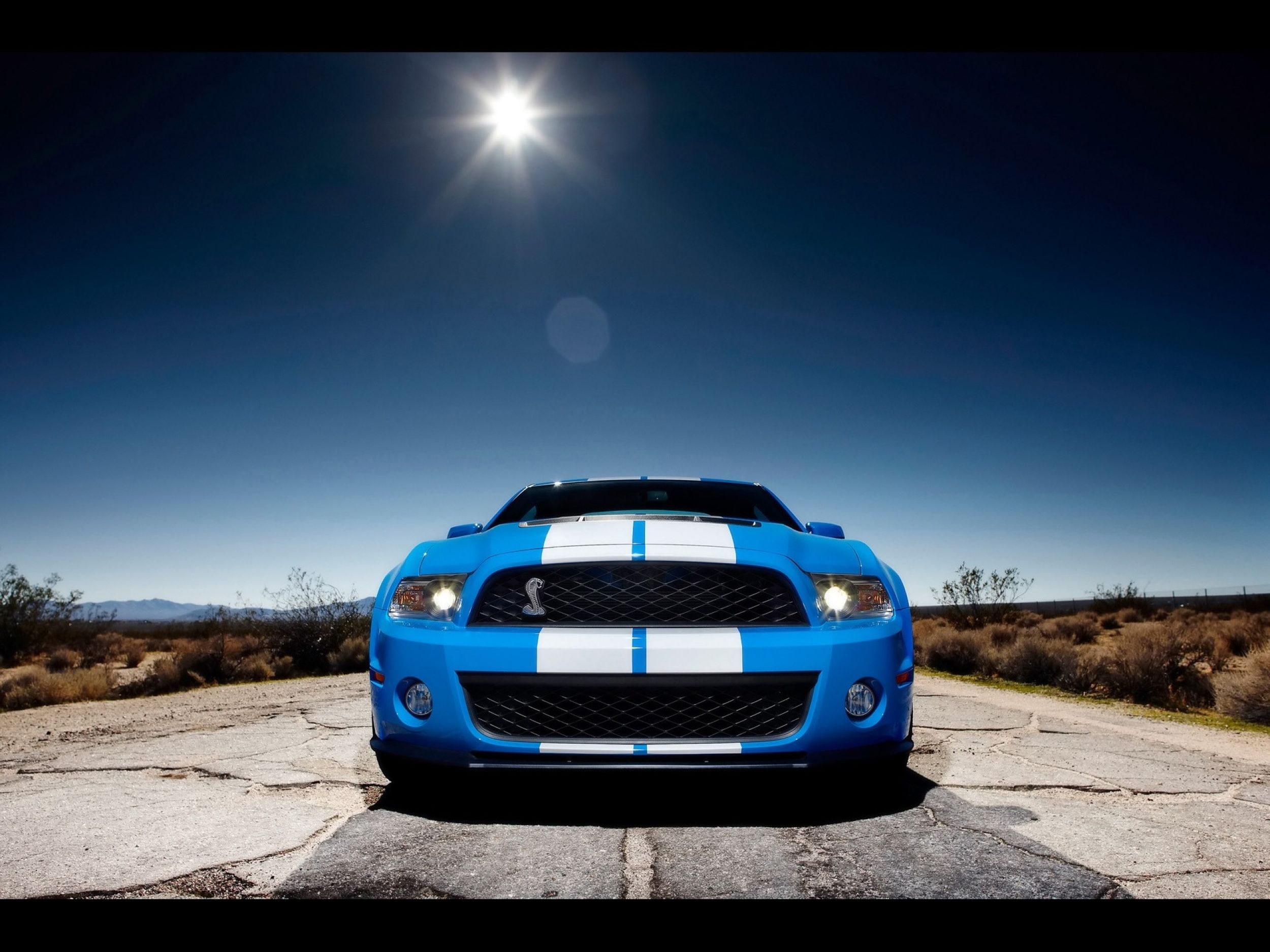 ford shelby