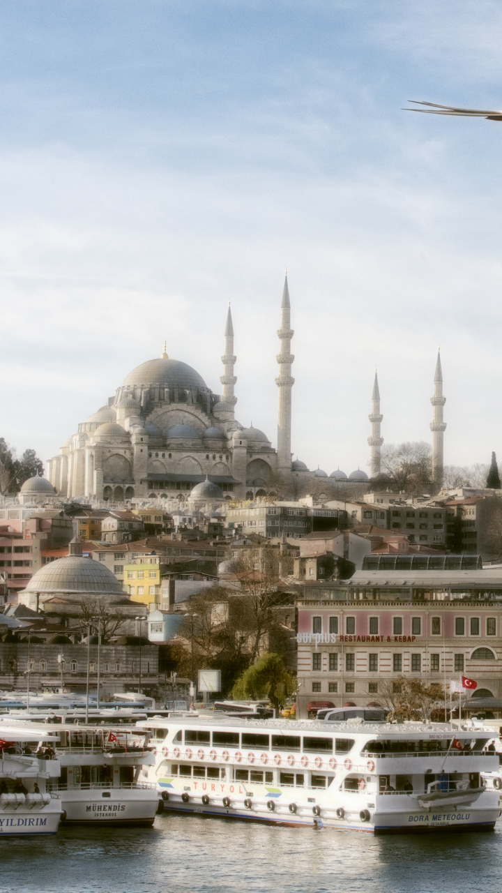 1113828 Hintergrundbild herunterladen religiös, süleymaniye moschee, istanbul, möwe, seemöve, truthahn, türkei, moscheen - Bildschirmschoner und Bilder kostenlos