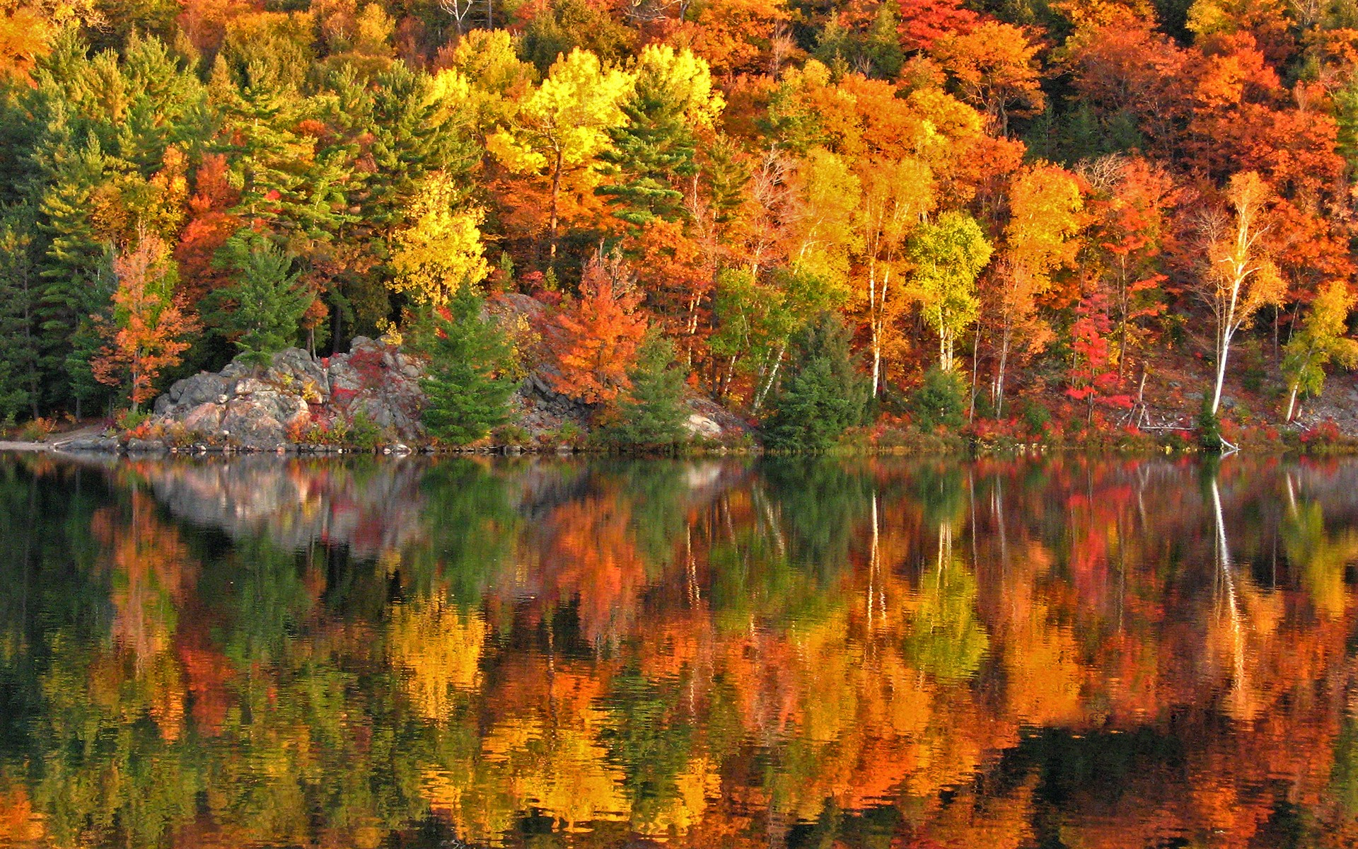 Онтарио озеро осенью