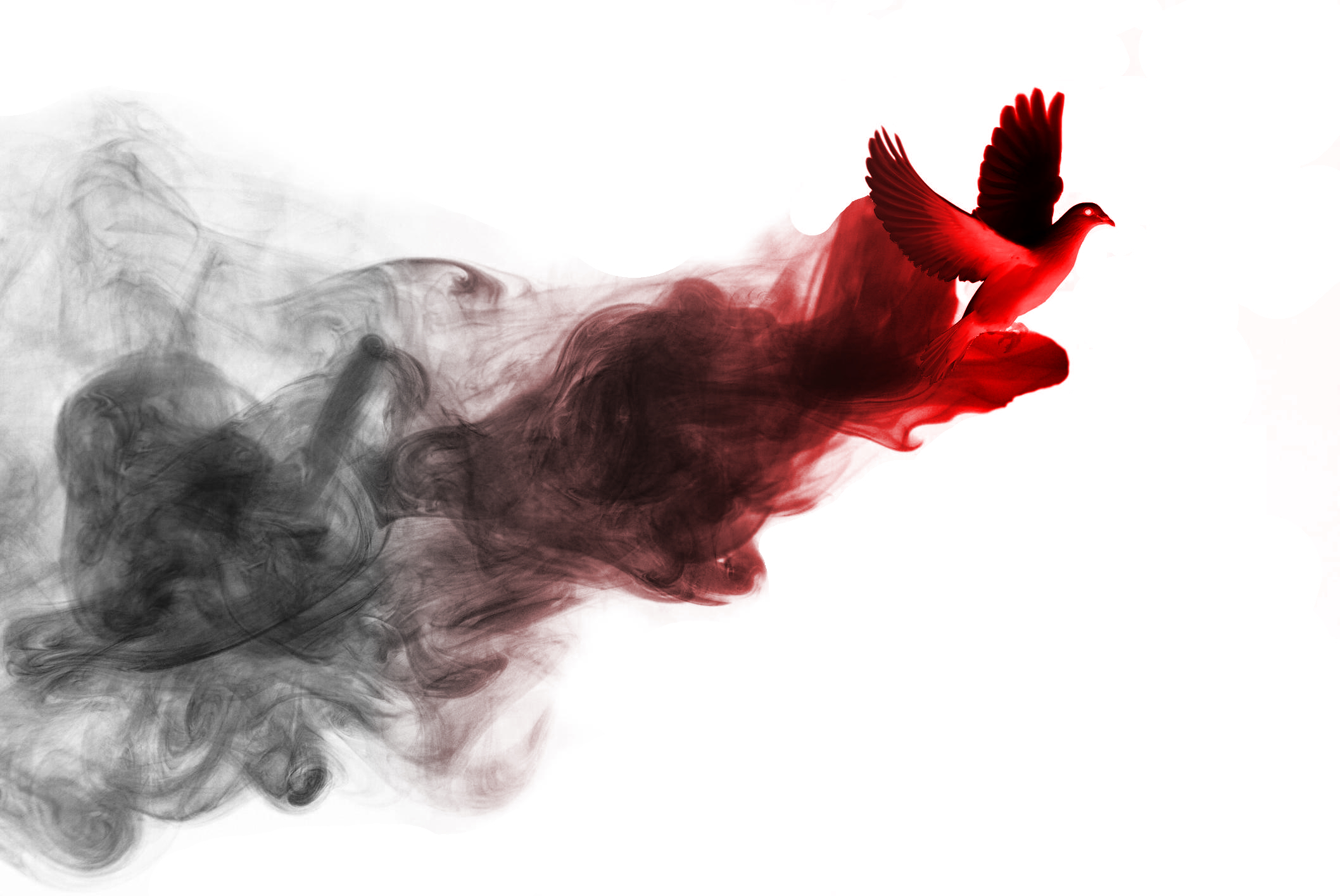 Птица из дыма