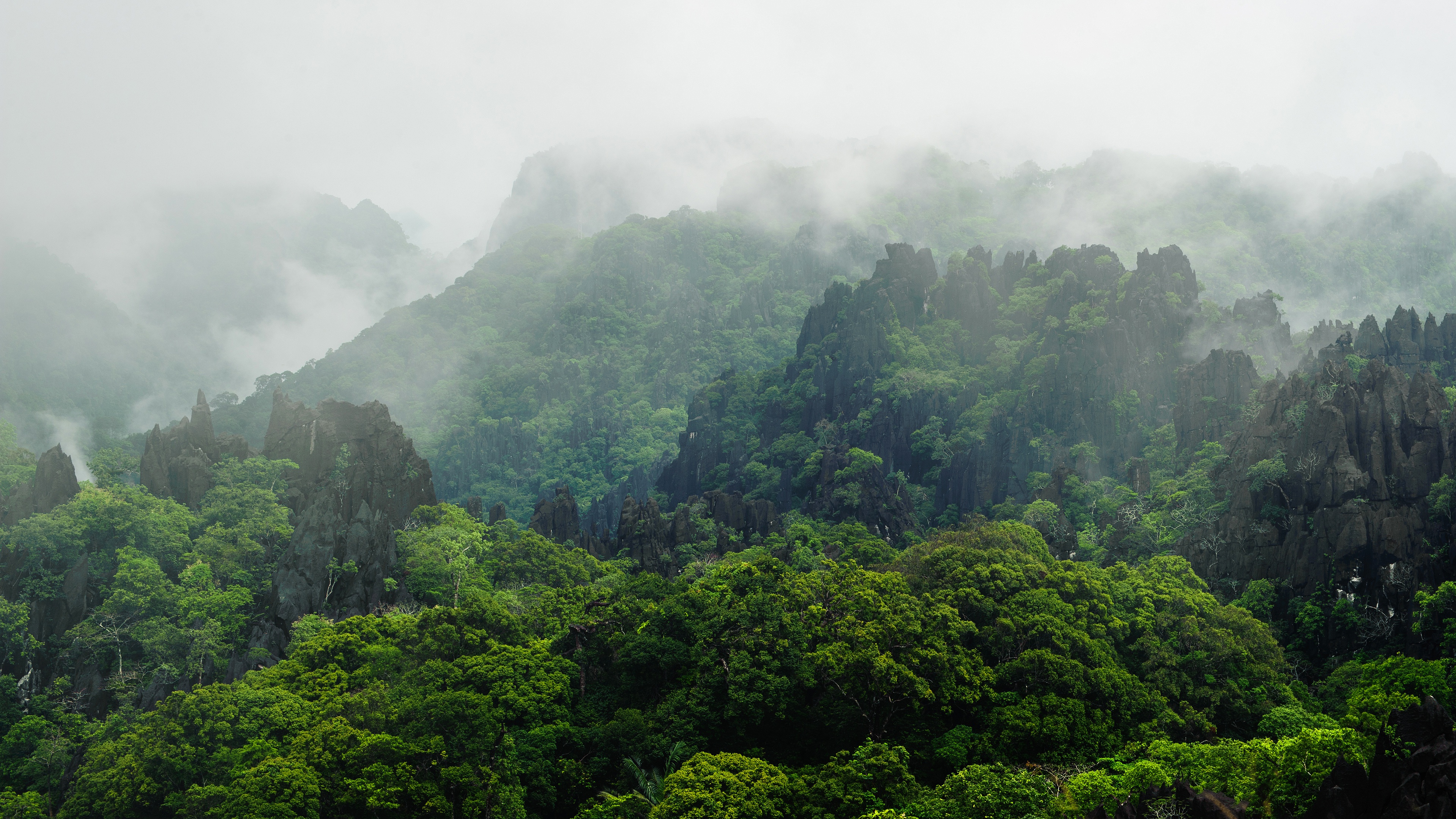 laos, vegetation, earth, fog, forest, mountain Full HD