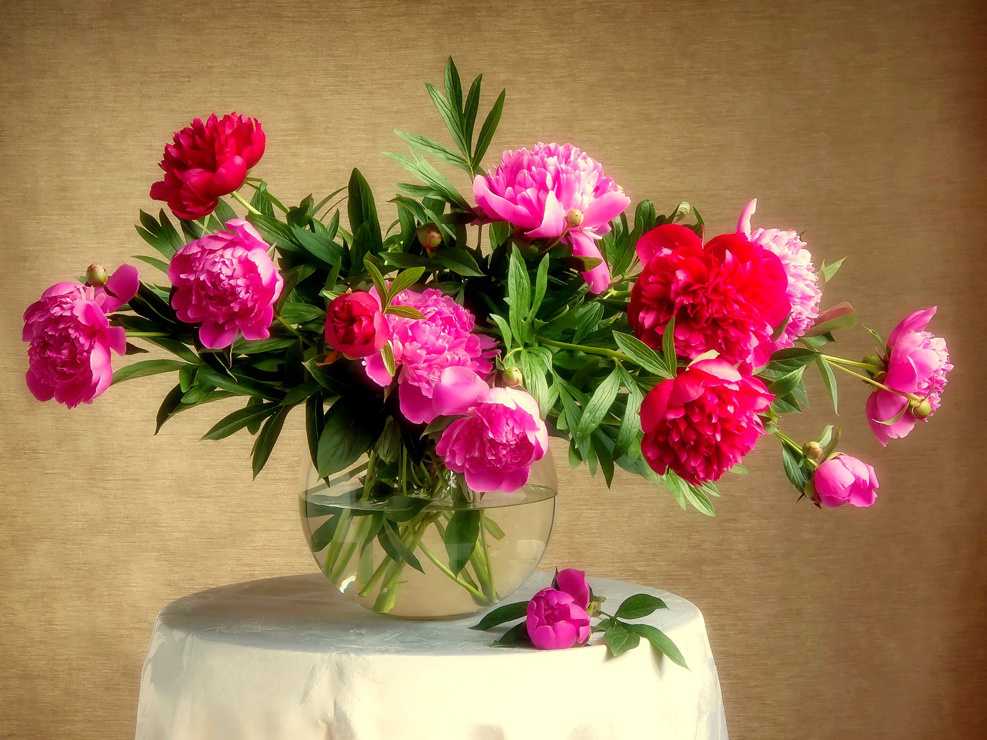 flower, photography, still life, peony, pink flower, vase 4K Ultra