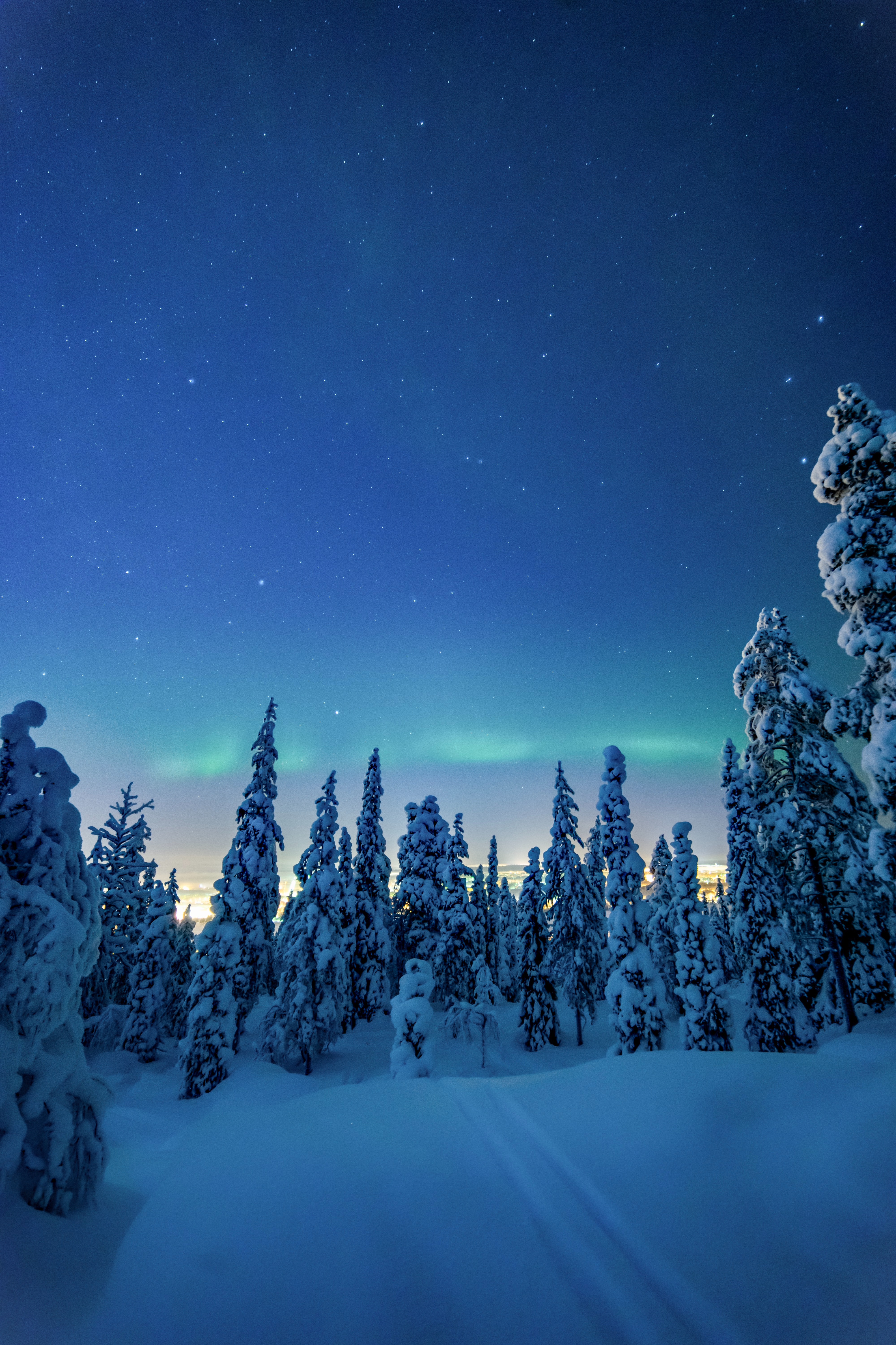 snow, nature, trees, winter, landscape, night