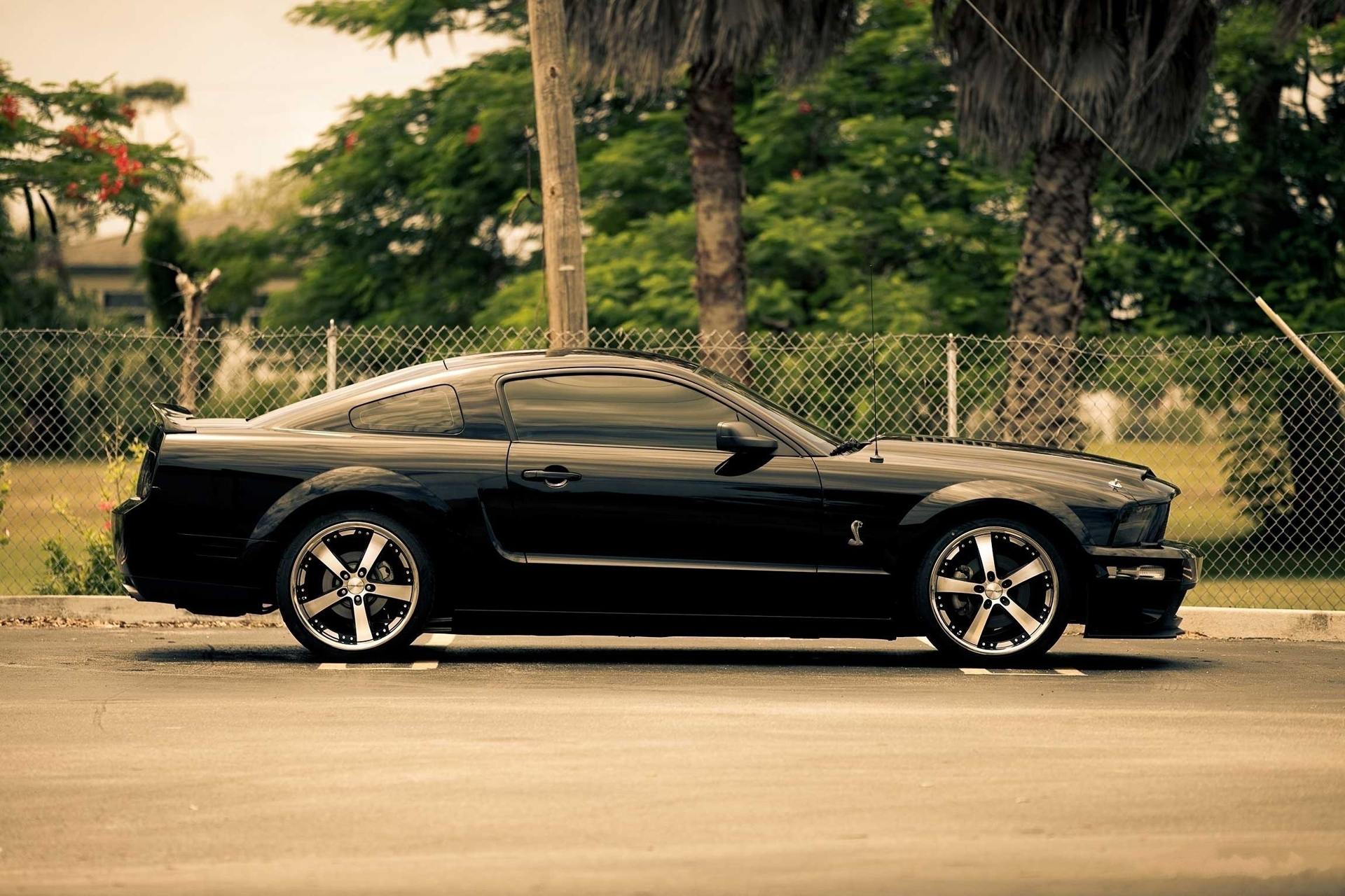 1080p Wallpaper  Ford Mustang Shelby Gt500