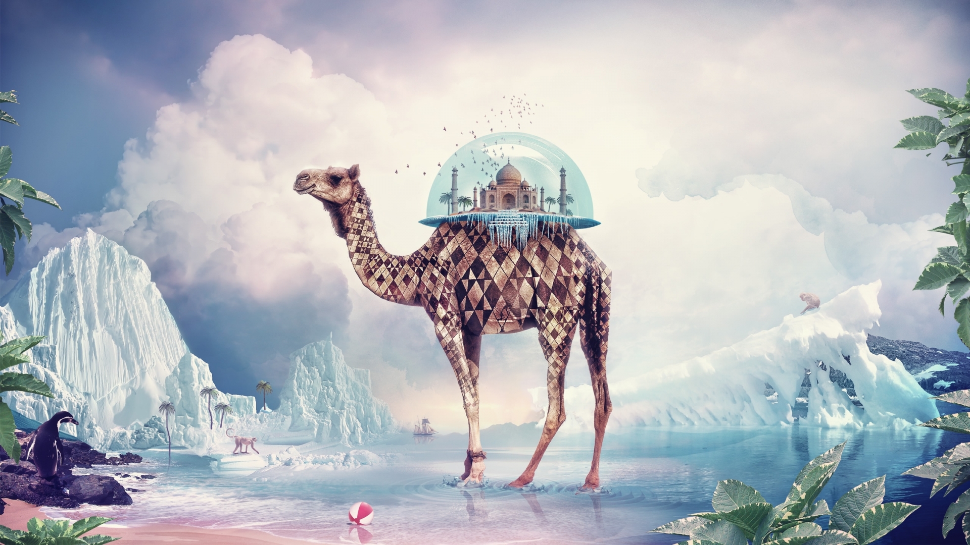 pictures, giraffes, animals, fantasy
