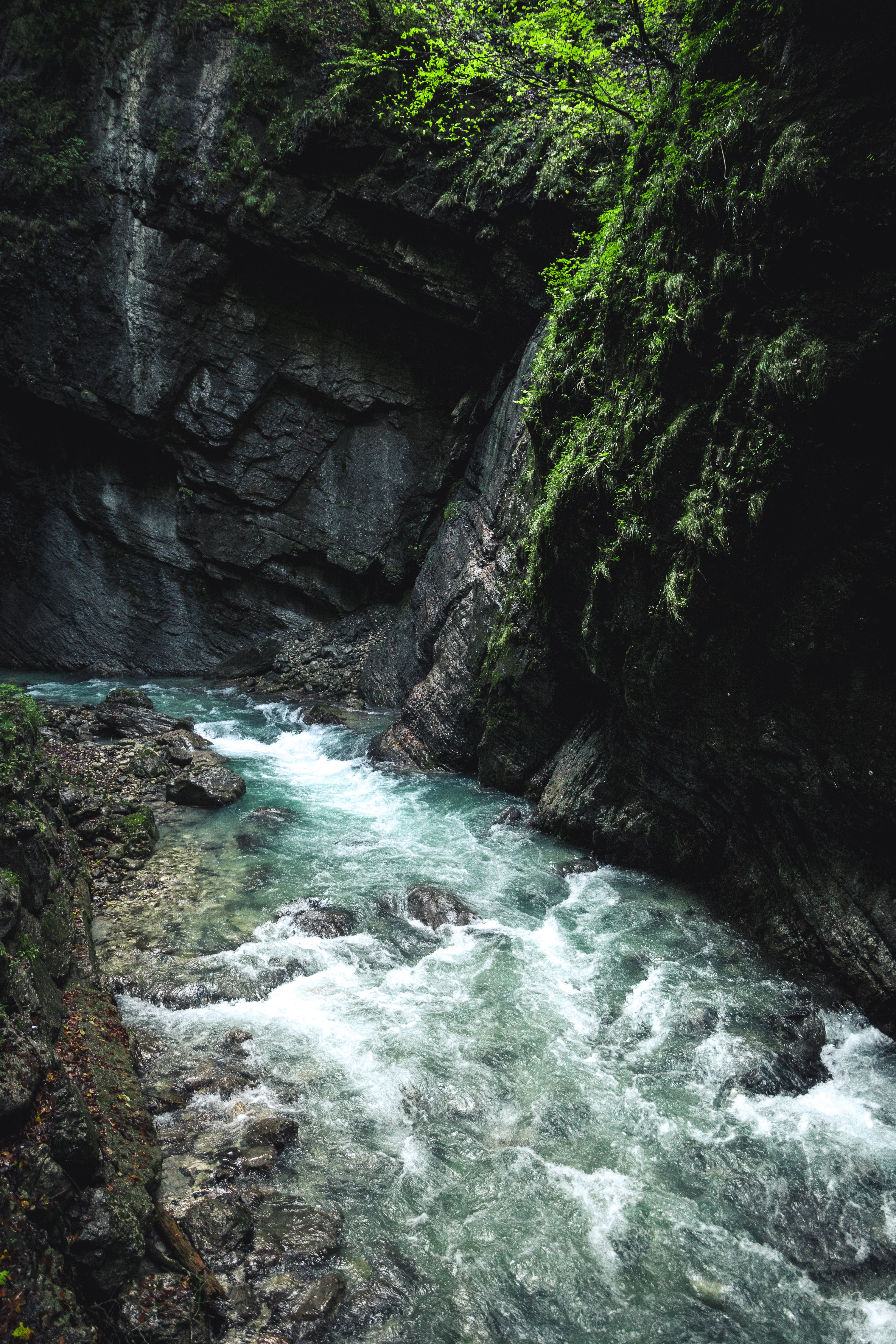 stream, nature, water, rivers, rocks, flow Free Stock Photo
