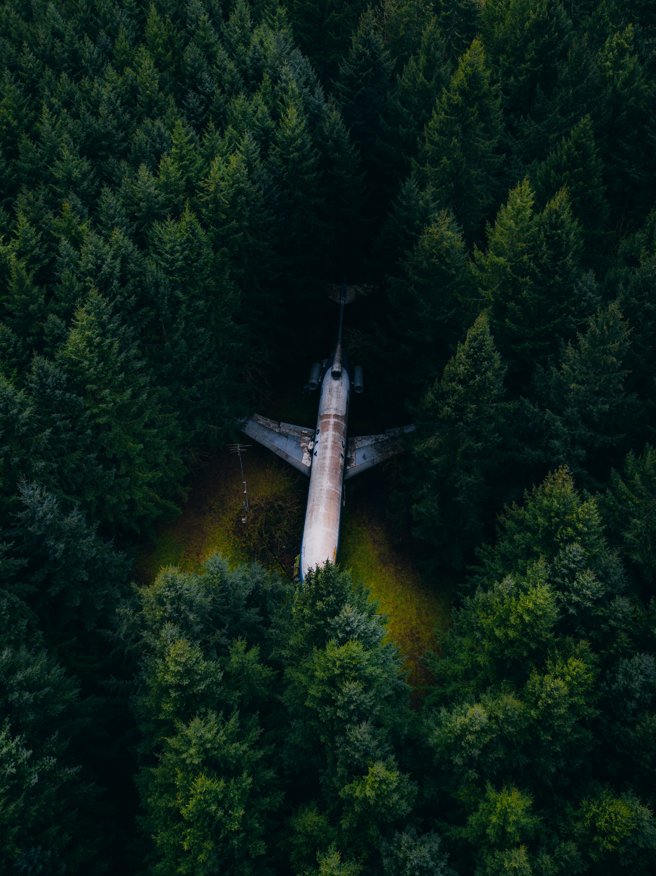 Download mobile wallpaper View From Above, Fir Trees, Miscellaneous, Trees, Miscellanea, Forest, Airplane, Plane for free.