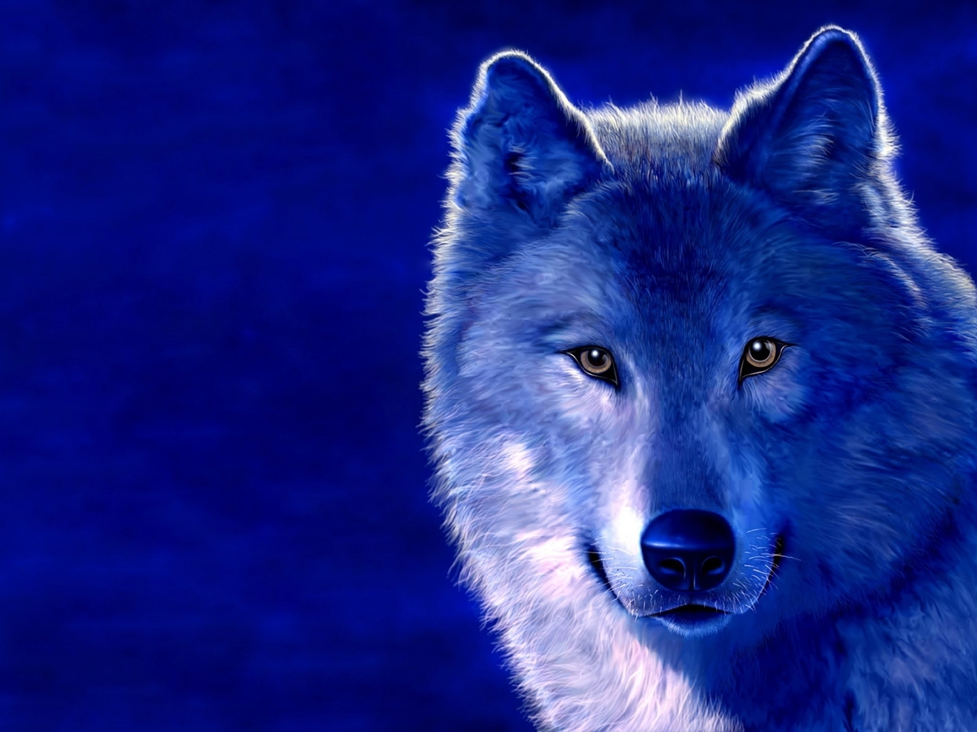 27516 Hintergrundbild herunterladen tiere, wölfe, blau - Bildschirmschoner und Bilder kostenlos