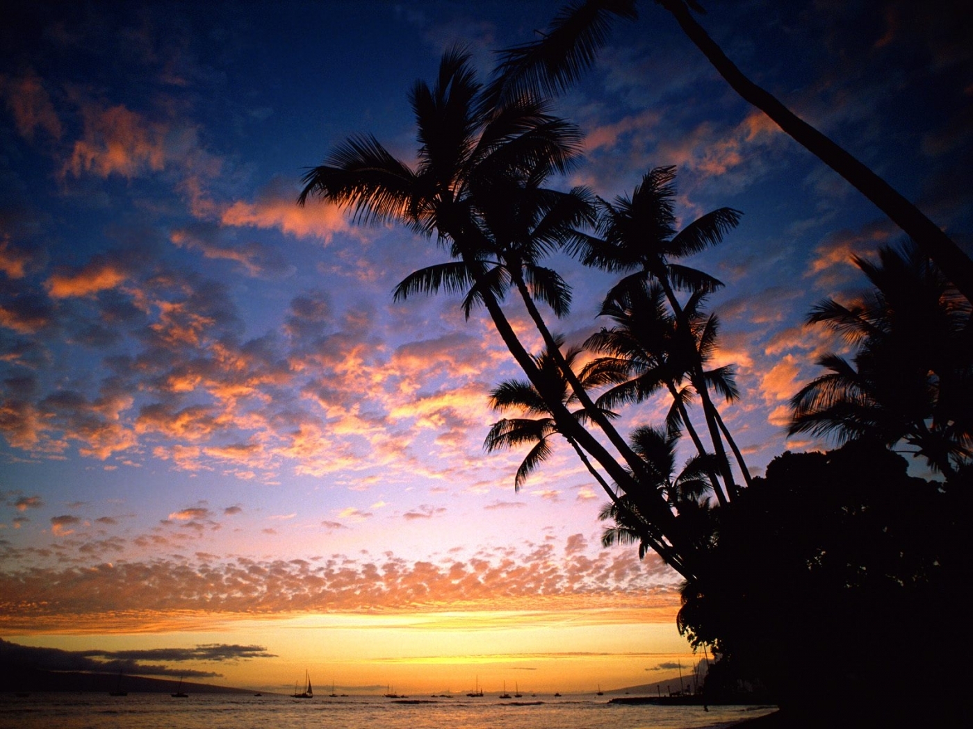 Download mobile wallpaper Sunset, Sea, Landscape, Palms for free.