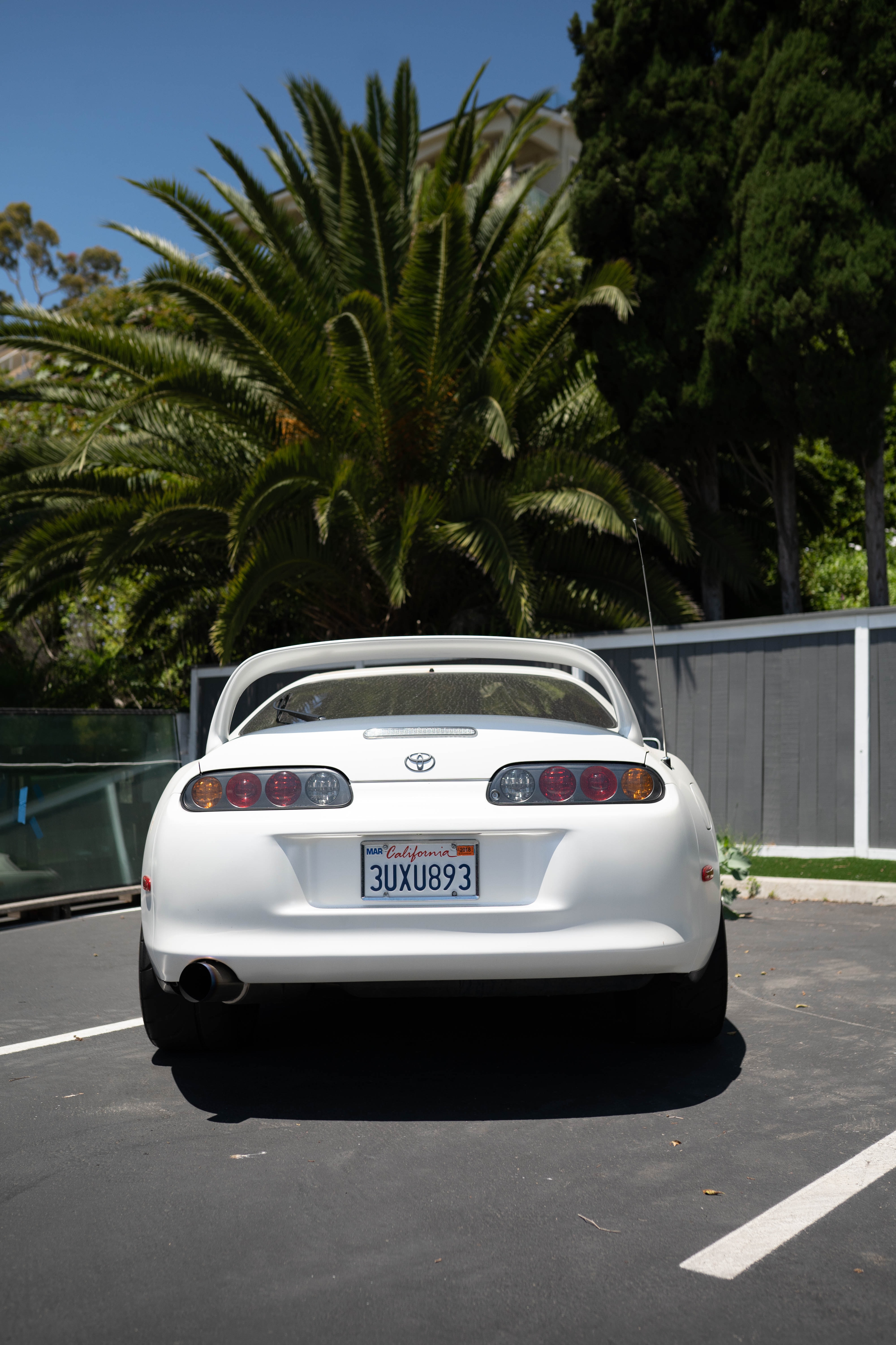 Download background sports, toyota, cars, white, car, sports car, back view, rear view