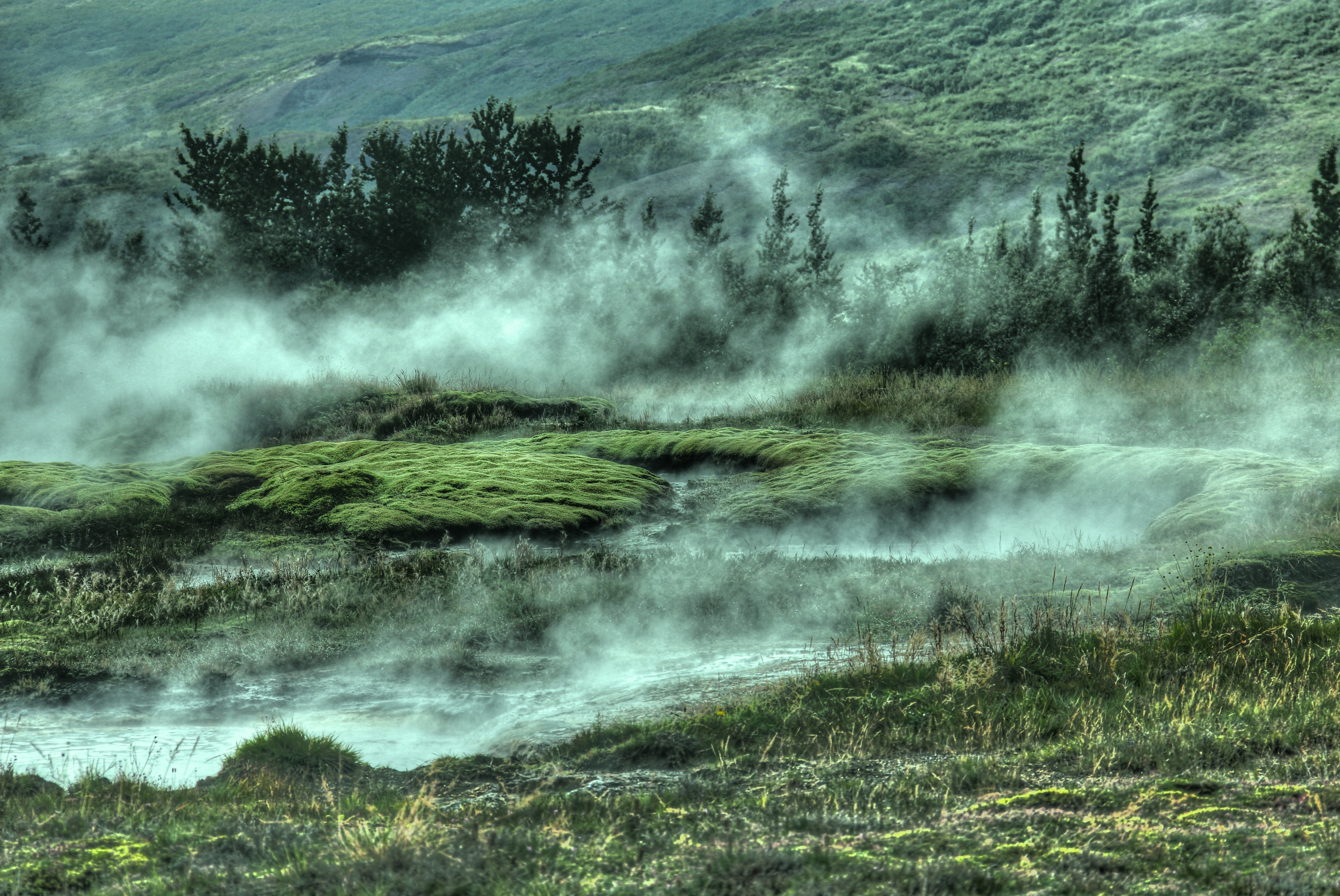 152404 Hintergrundbild herunterladen natur, grass, bush, nebel, die hügel, hügel - Bildschirmschoner und Bilder kostenlos