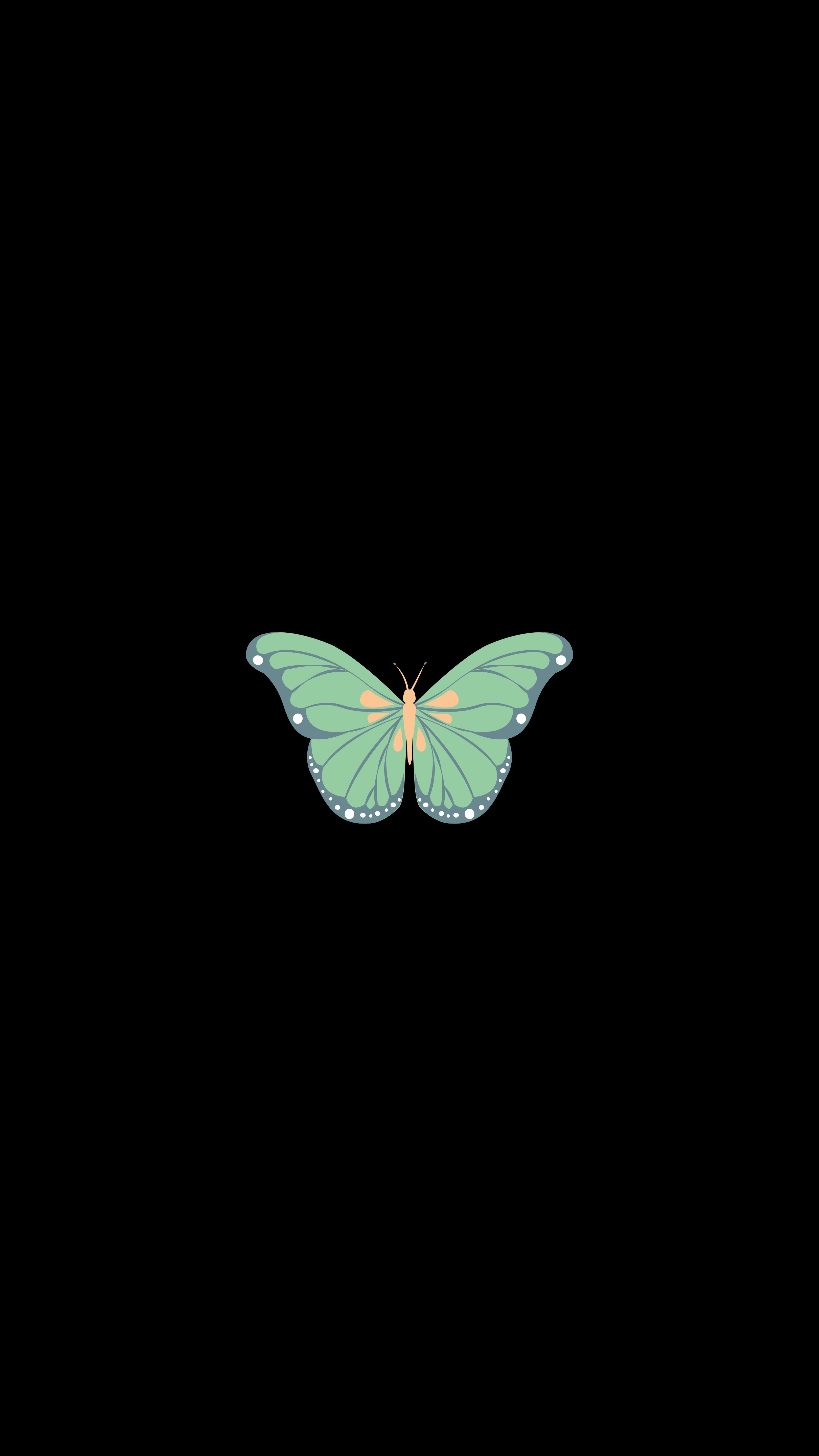 Download mobile wallpaper Butterfly, Art, Vector, Minimalism for free.