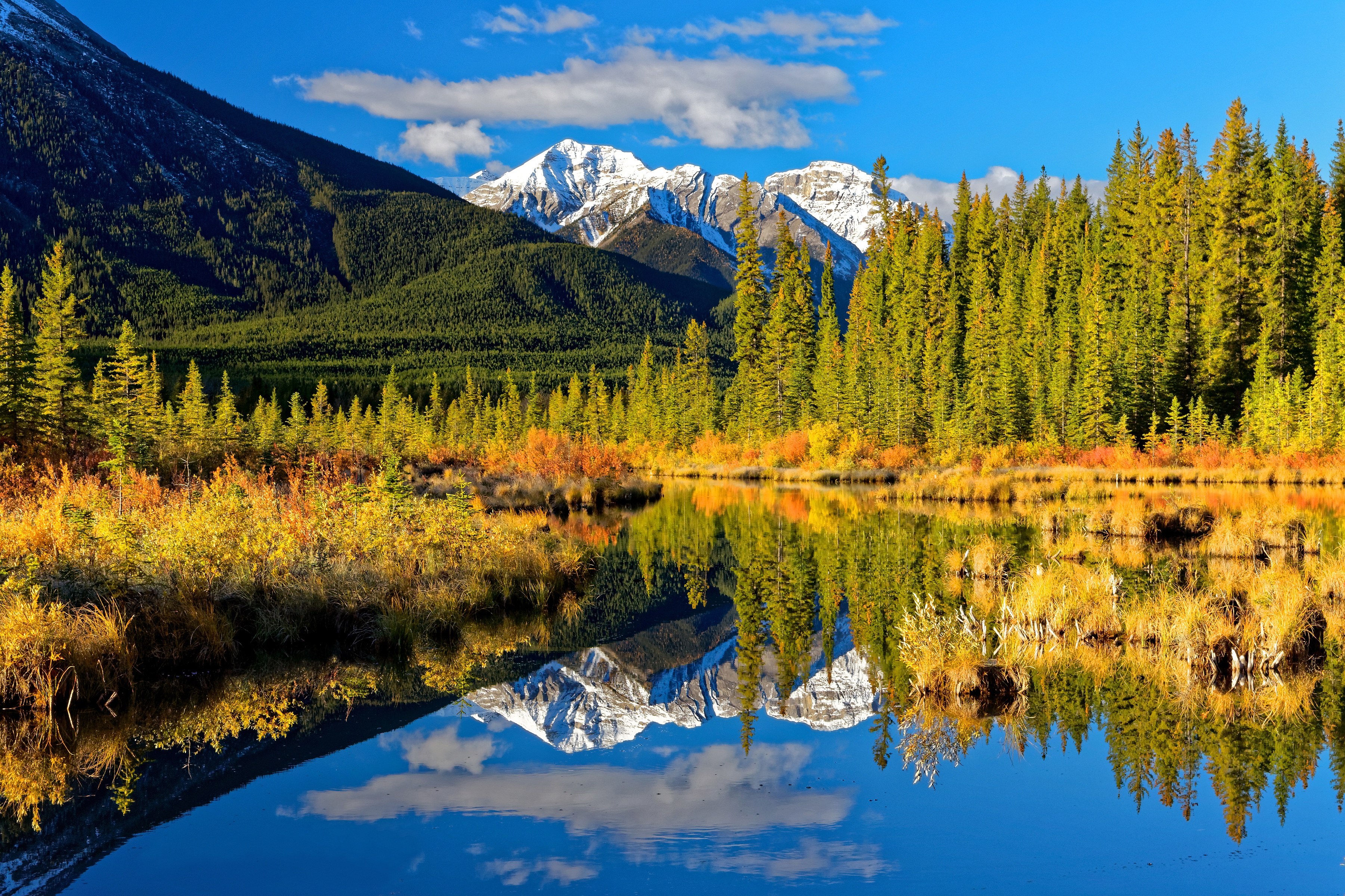 492543 скачать картинку осень, земля/природа, национальный парк банф, альберта, канада, лес, озеро, гора, отражение, скалистые горы, национальный парк - обои и заставки бесплатно