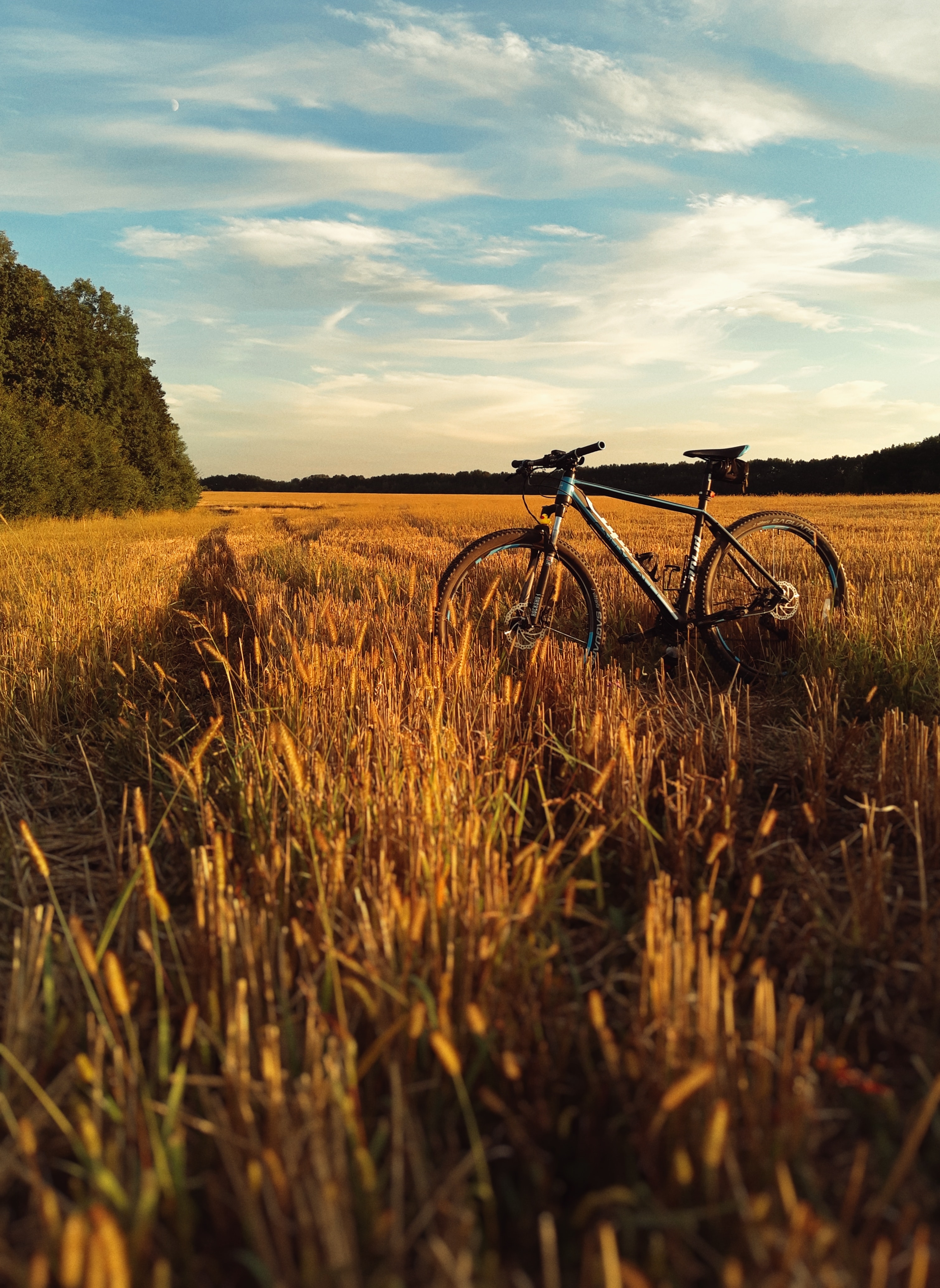 bicycle, grass, sky, horizon, miscellanea, miscellaneous, field