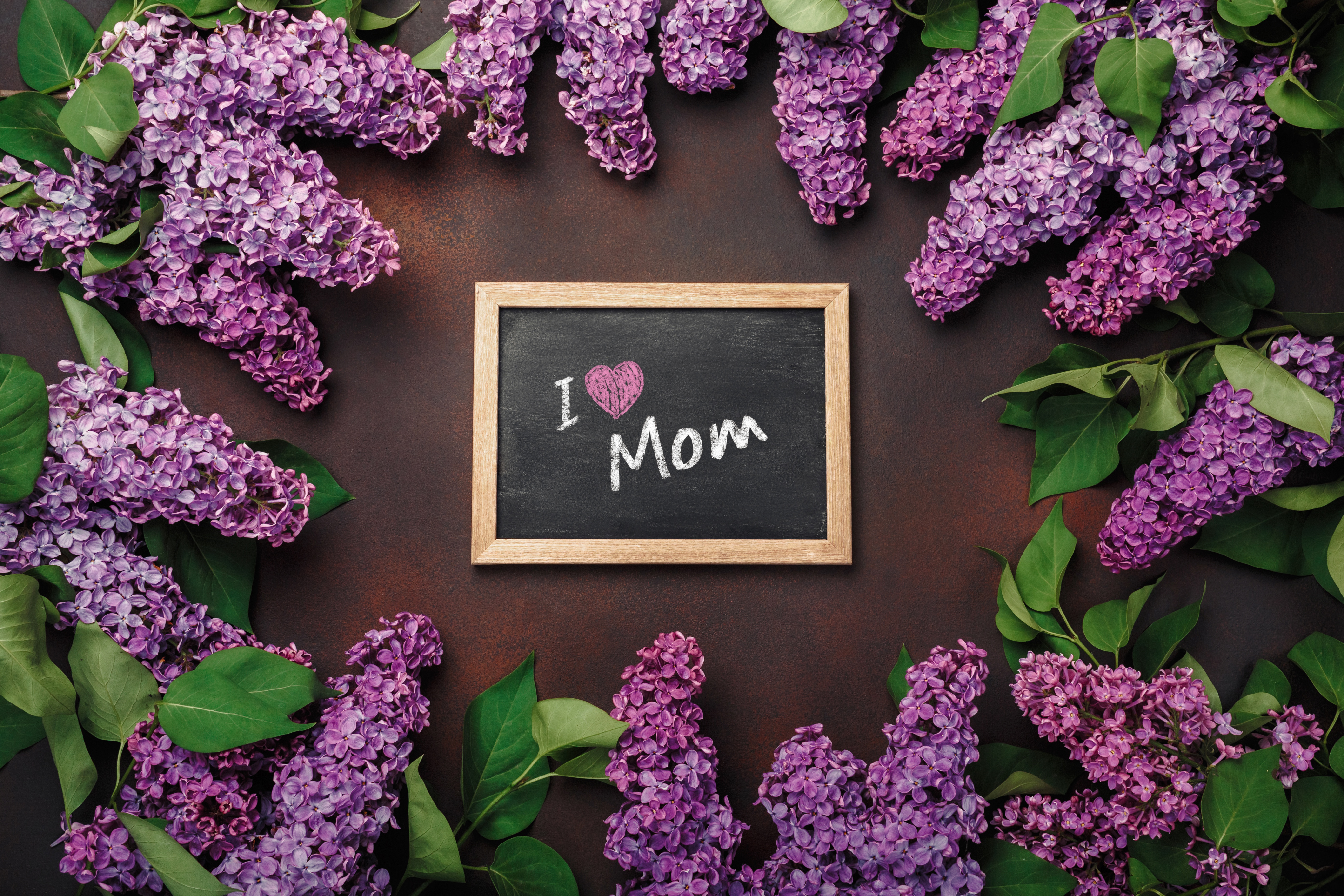 無料モバイル壁紙ライラック, 花, 母の日, ホリデー, 紫色の花をダウンロードします。