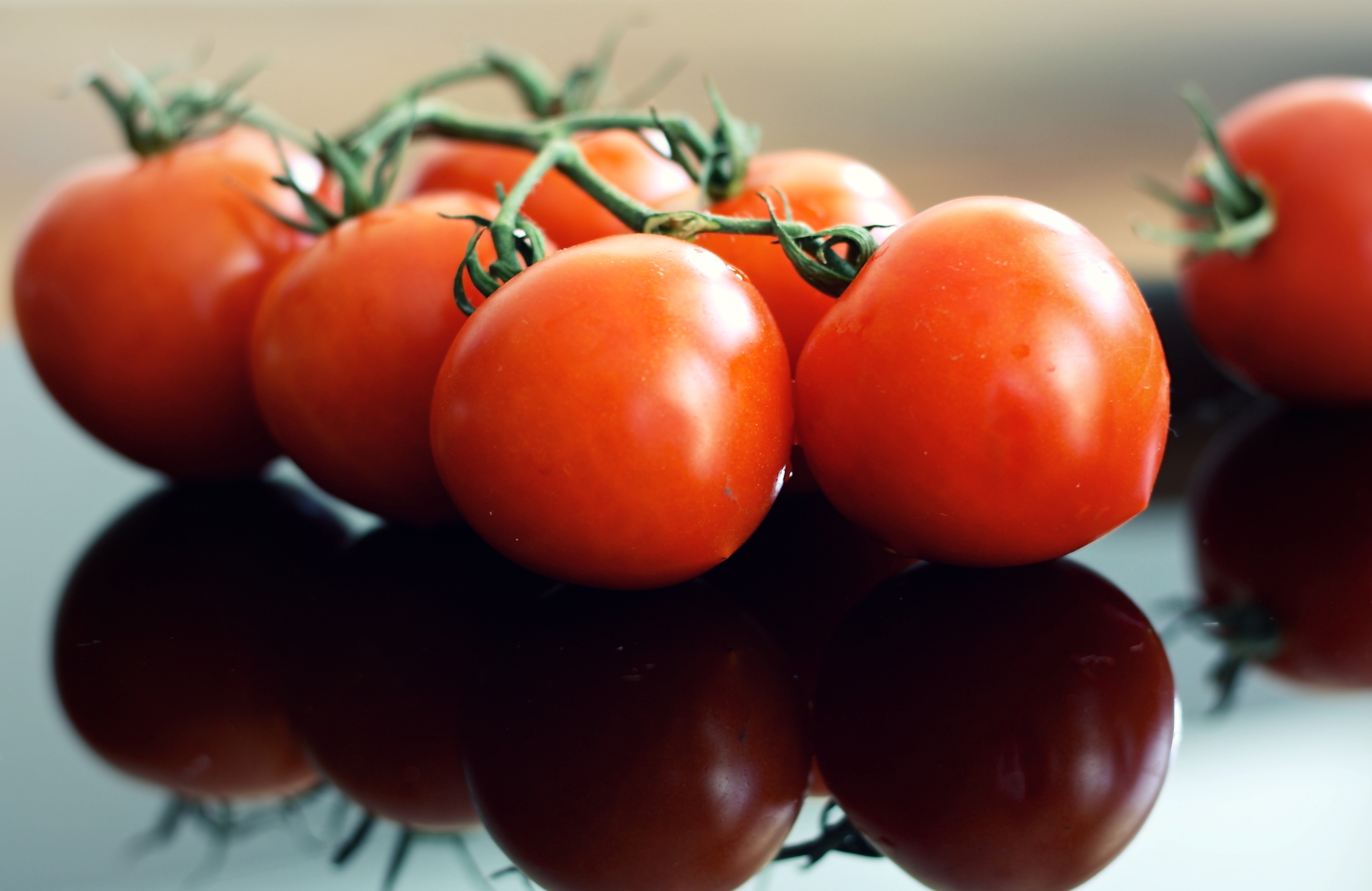 免费下载蔬菜, 反射, 成熟, 熟熟, 番茄, 西红柿, 食物手机壁纸。