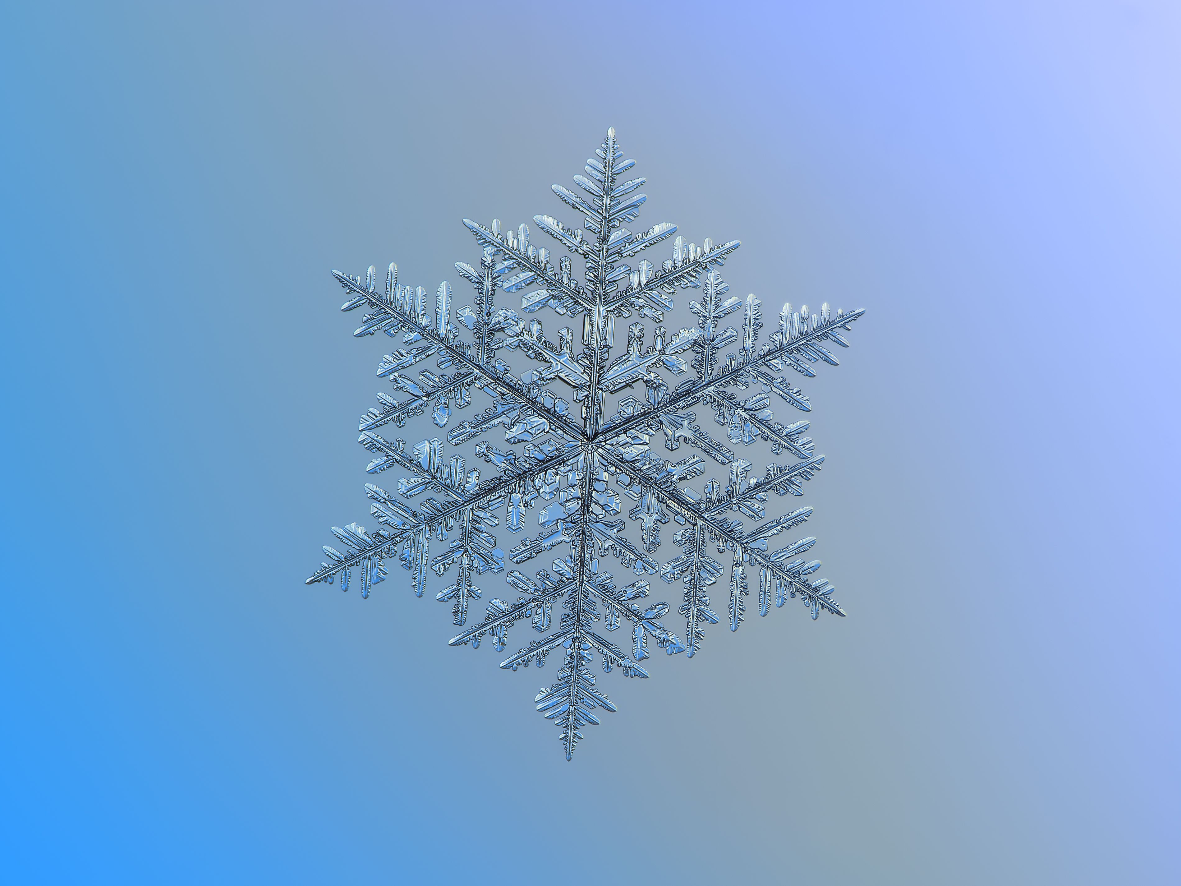 symmetry, earth, snowflake, crystal, macro 8K