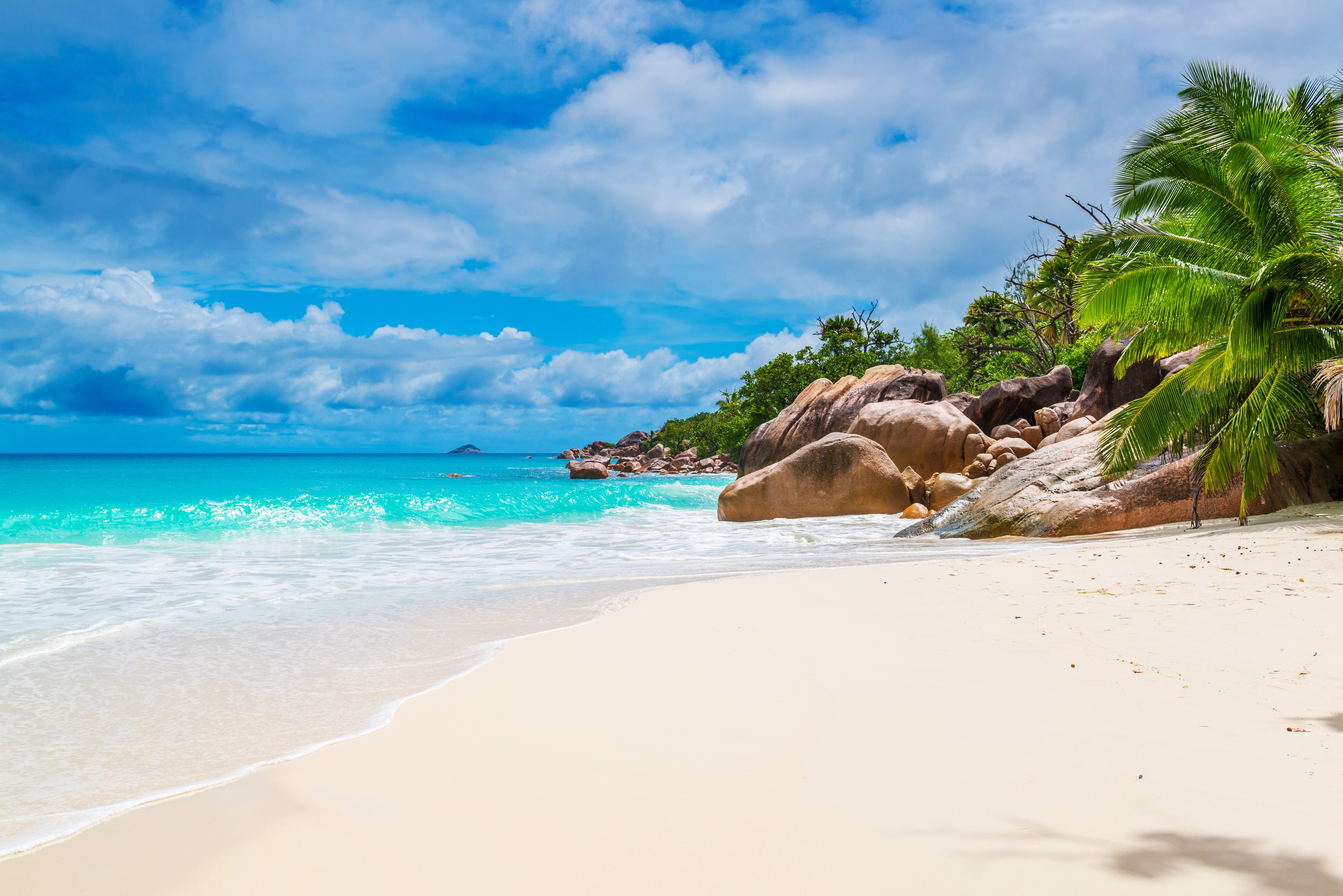 beach, coast, palm tree, maldives, seychelles, sand, earth, ocean, tropical Full HD