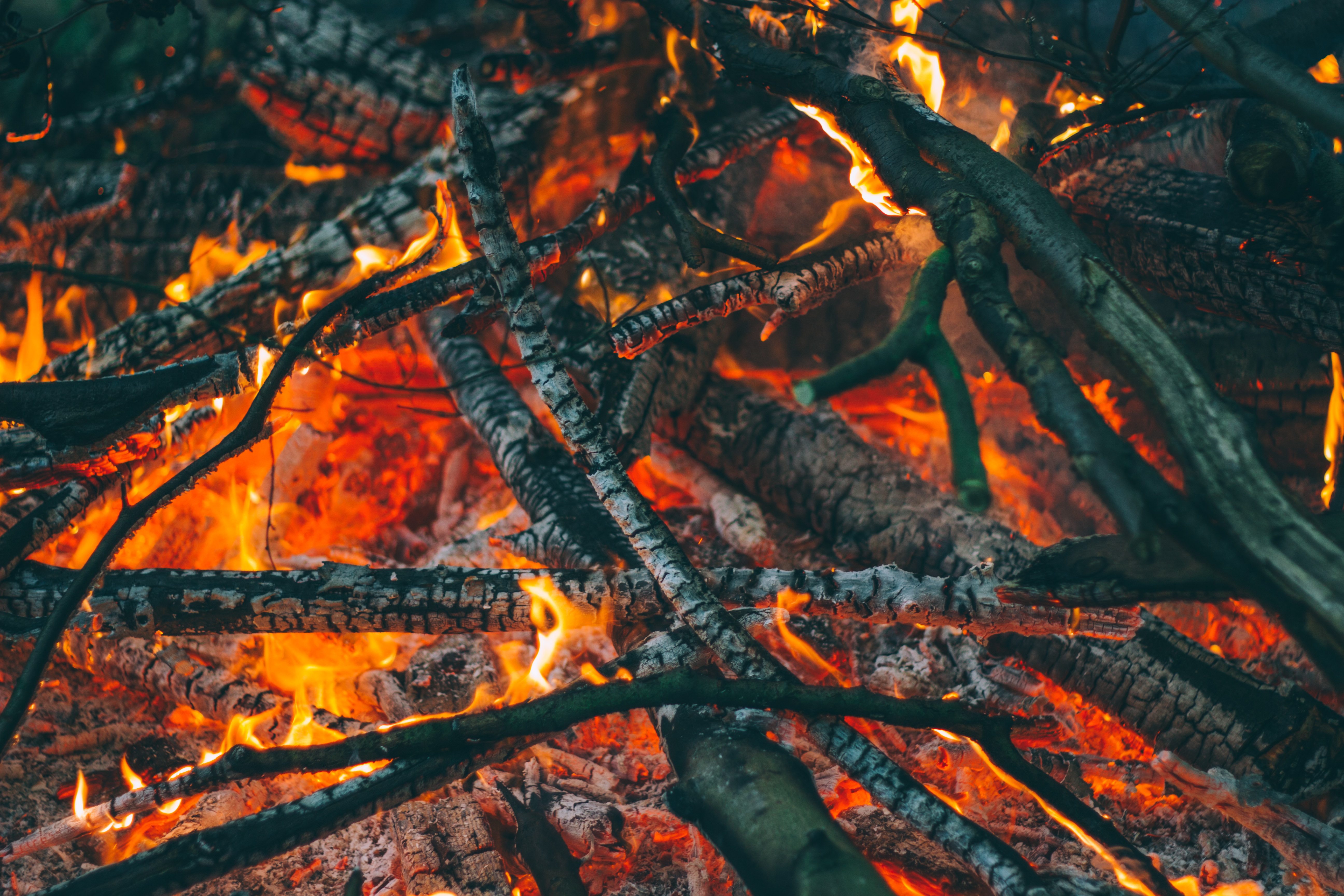 bonfire, fire, coals, miscellanea, miscellaneous, ash