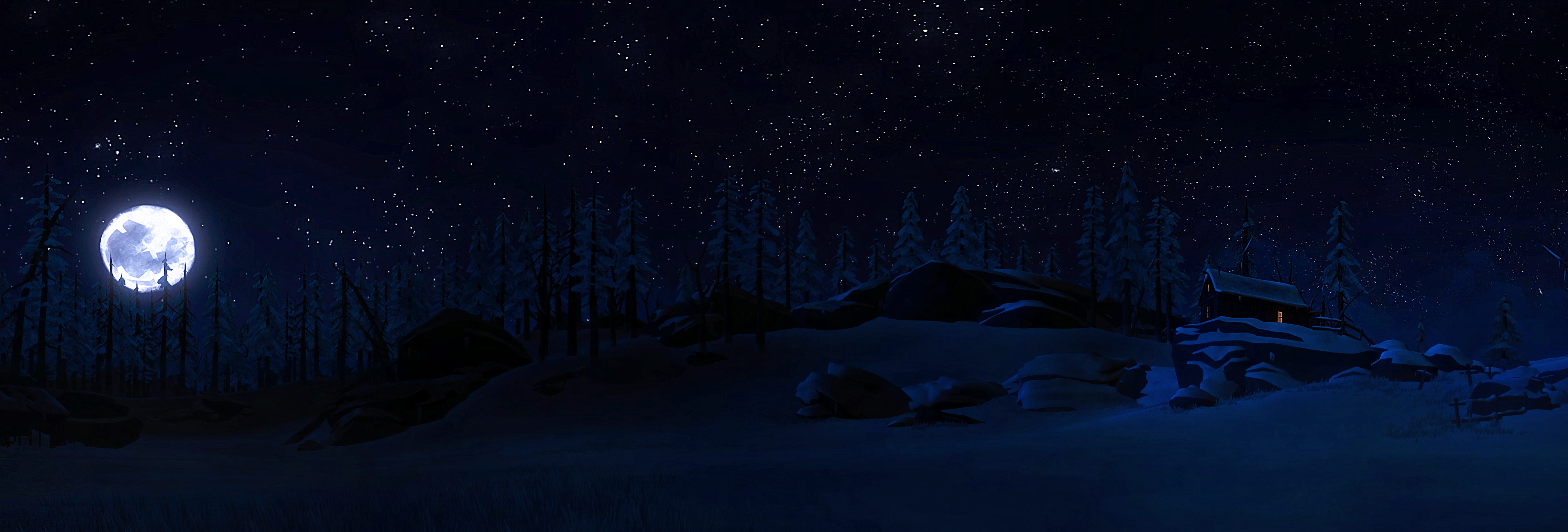 Ночной зимний лес панорама
