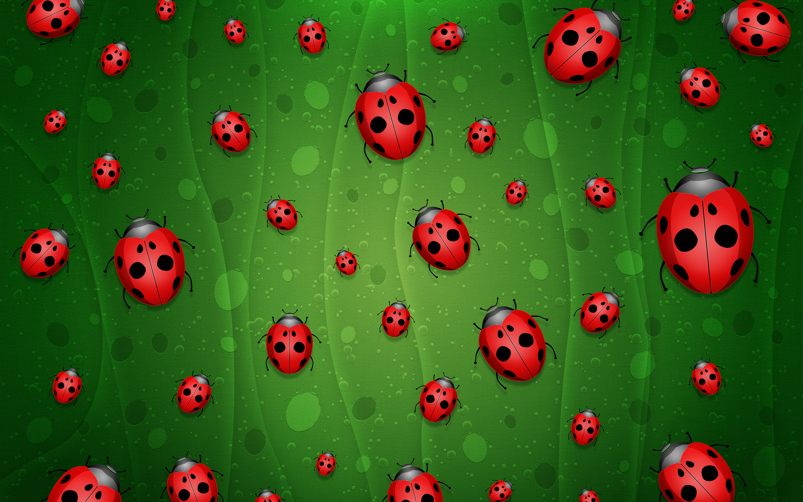 Wallpaper Full HD animal, ladybug