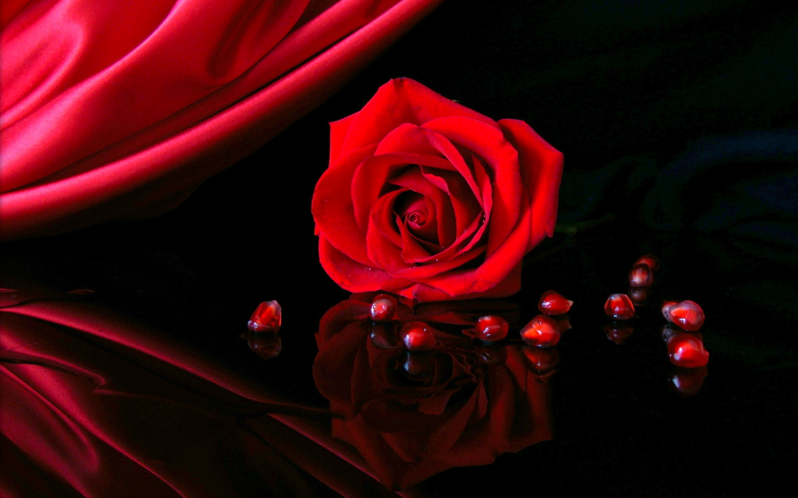 Download mobile wallpaper Red Rose, Flowers, Flower, Rose, Earth, Reflection for free.
