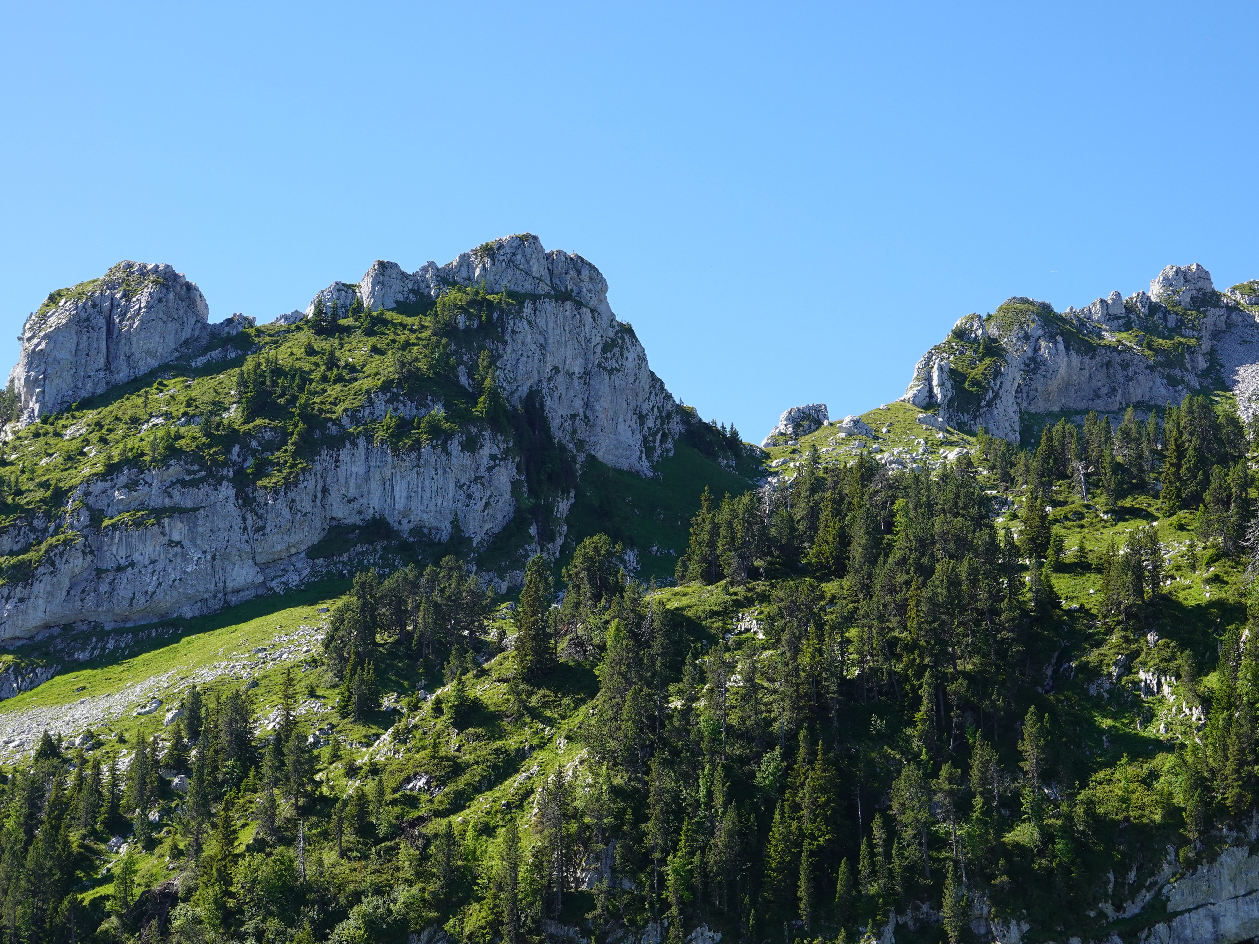 mountain, nature, trees, rocks cellphone