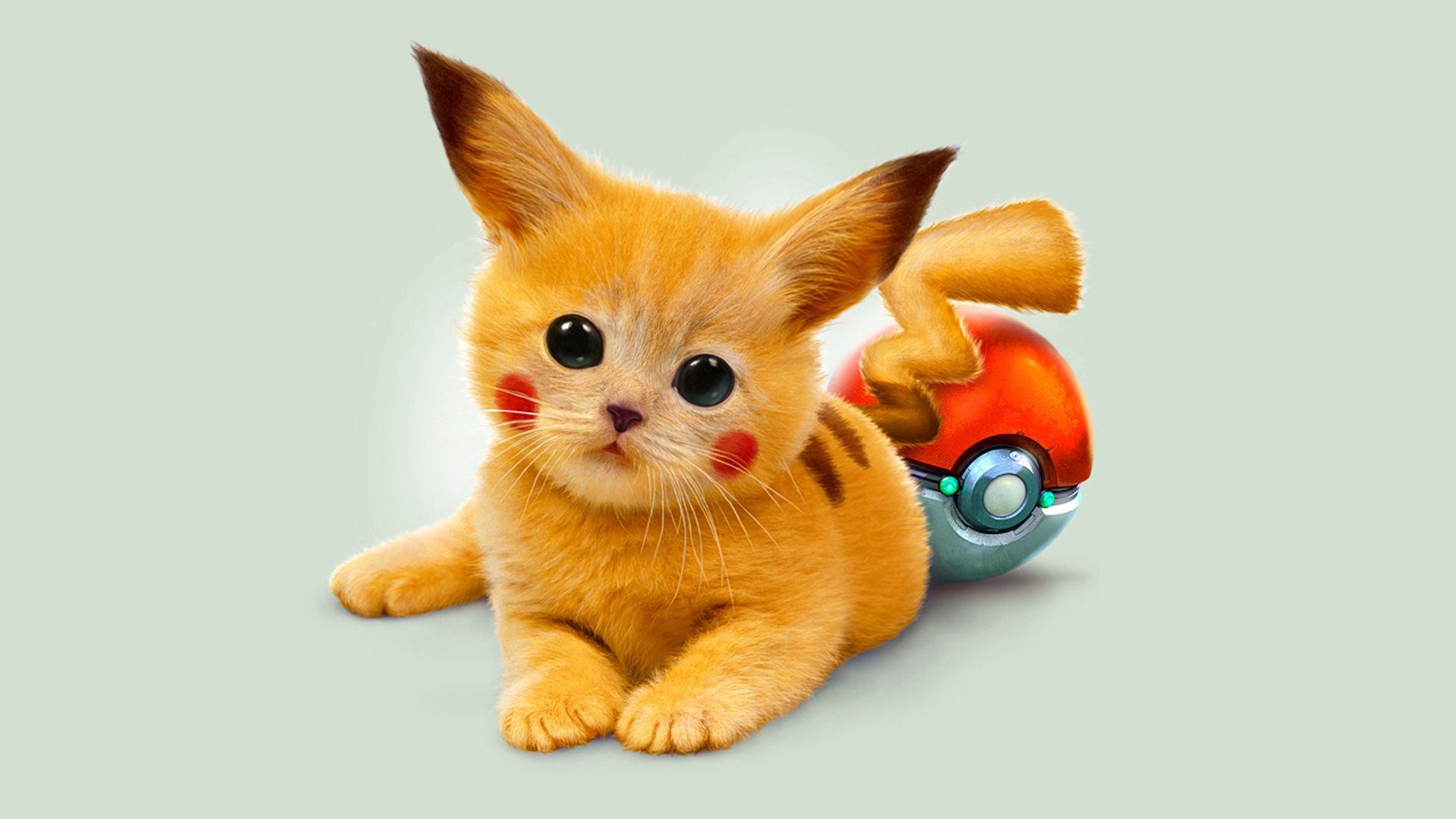 kitty, pokémon, pokemon, pikachu, art, red, miscellanea, miscellaneous, kitten, eyes, redhead
