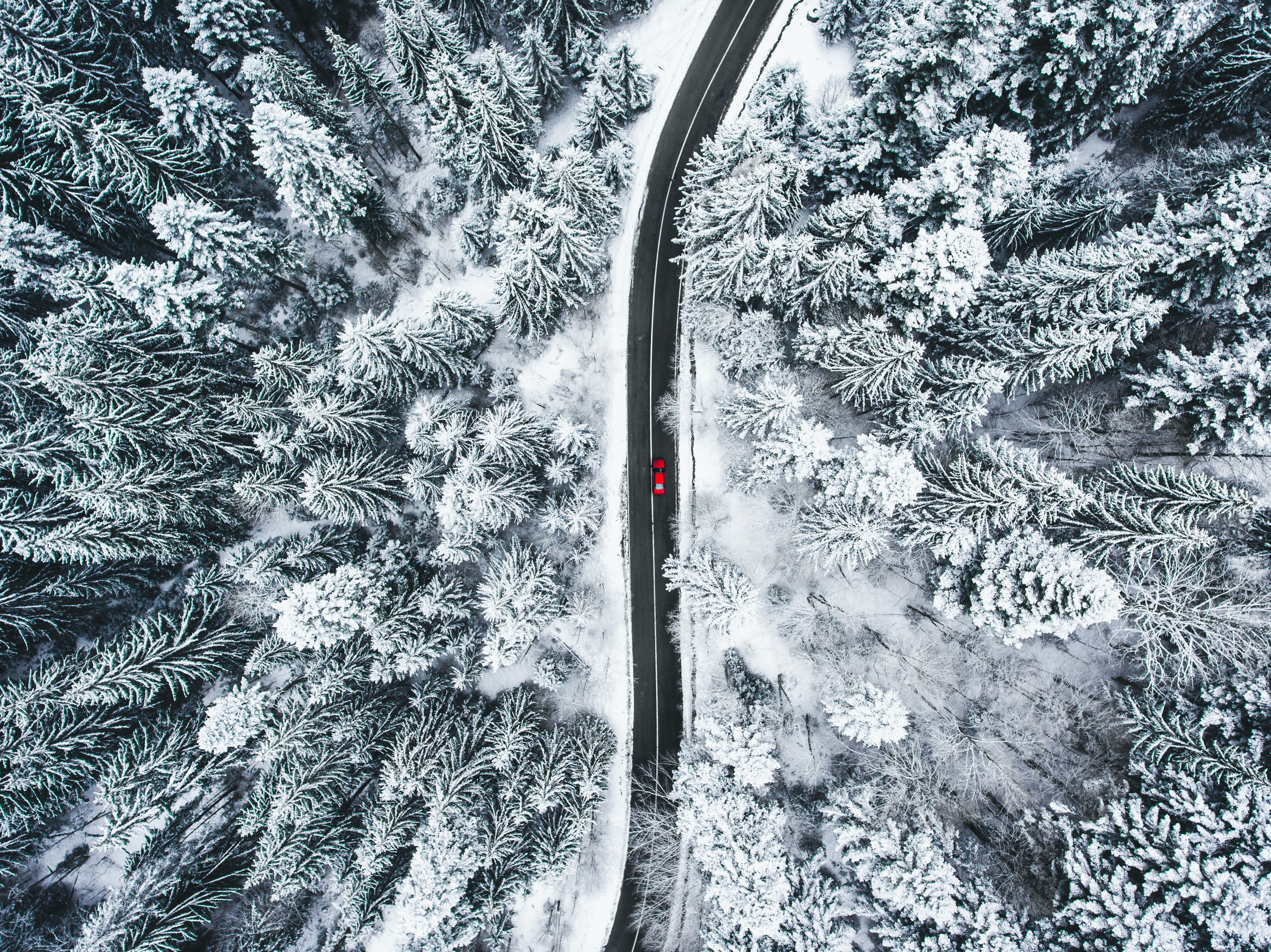 road, snow, view from above, nature, forest, car, machine