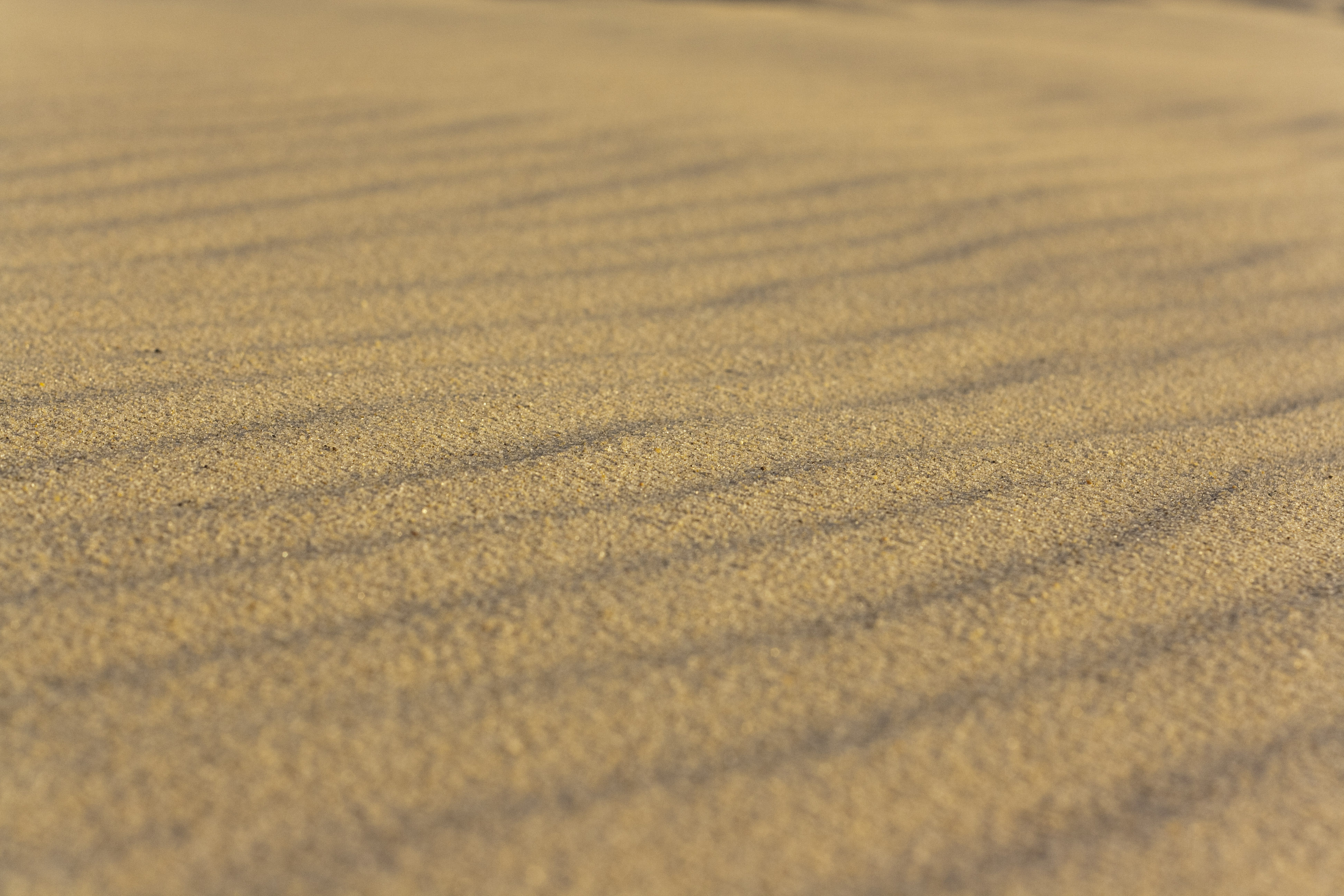textures, sand, desert, texture, wavy, particles Free Stock Photo