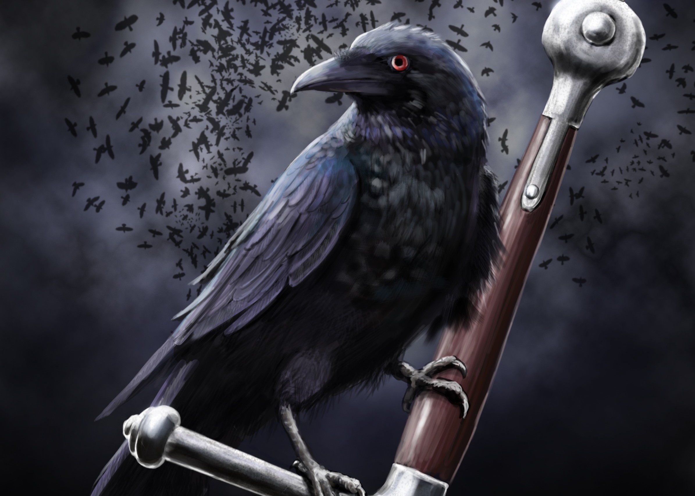 Download mobile wallpaper Animal, Raven, Crow for free.