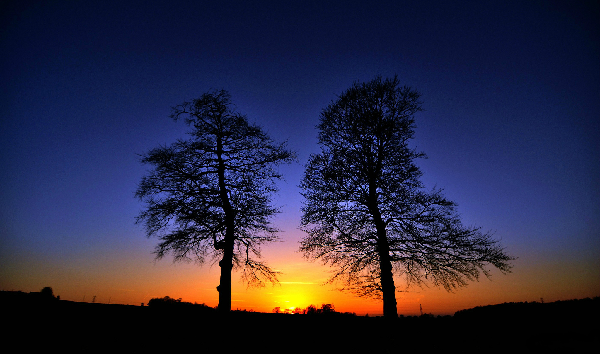 закат деревья фото