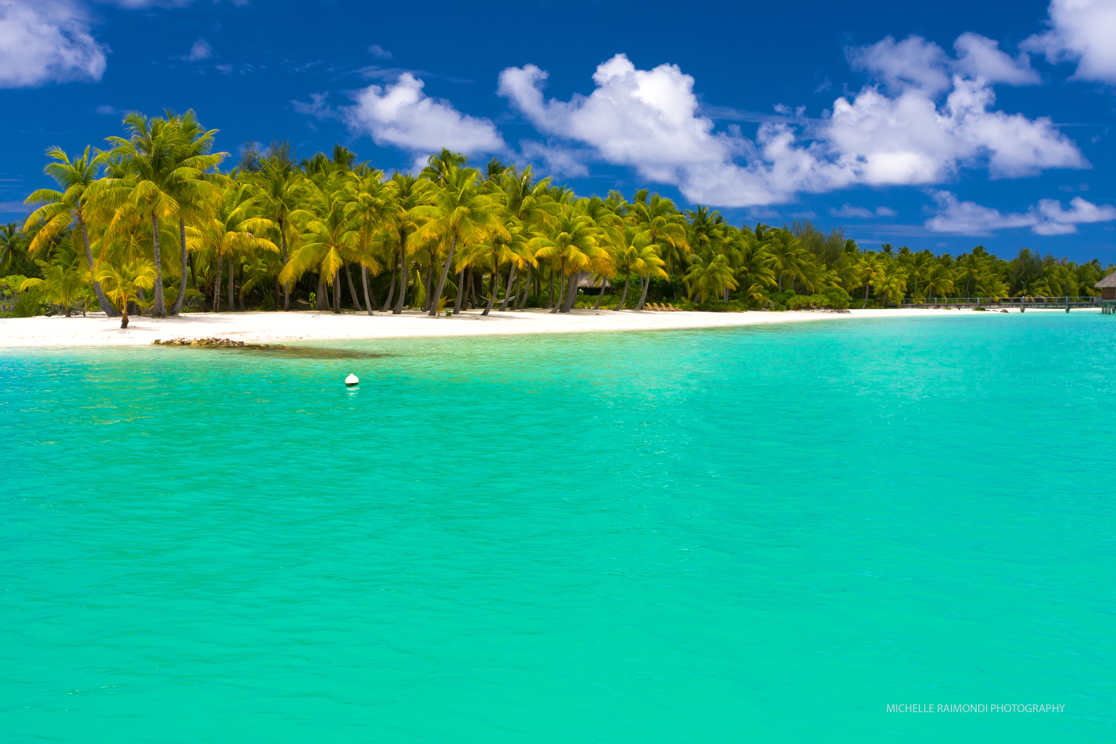 summer, nature, beach, maldives, palms, tropics Full HD
